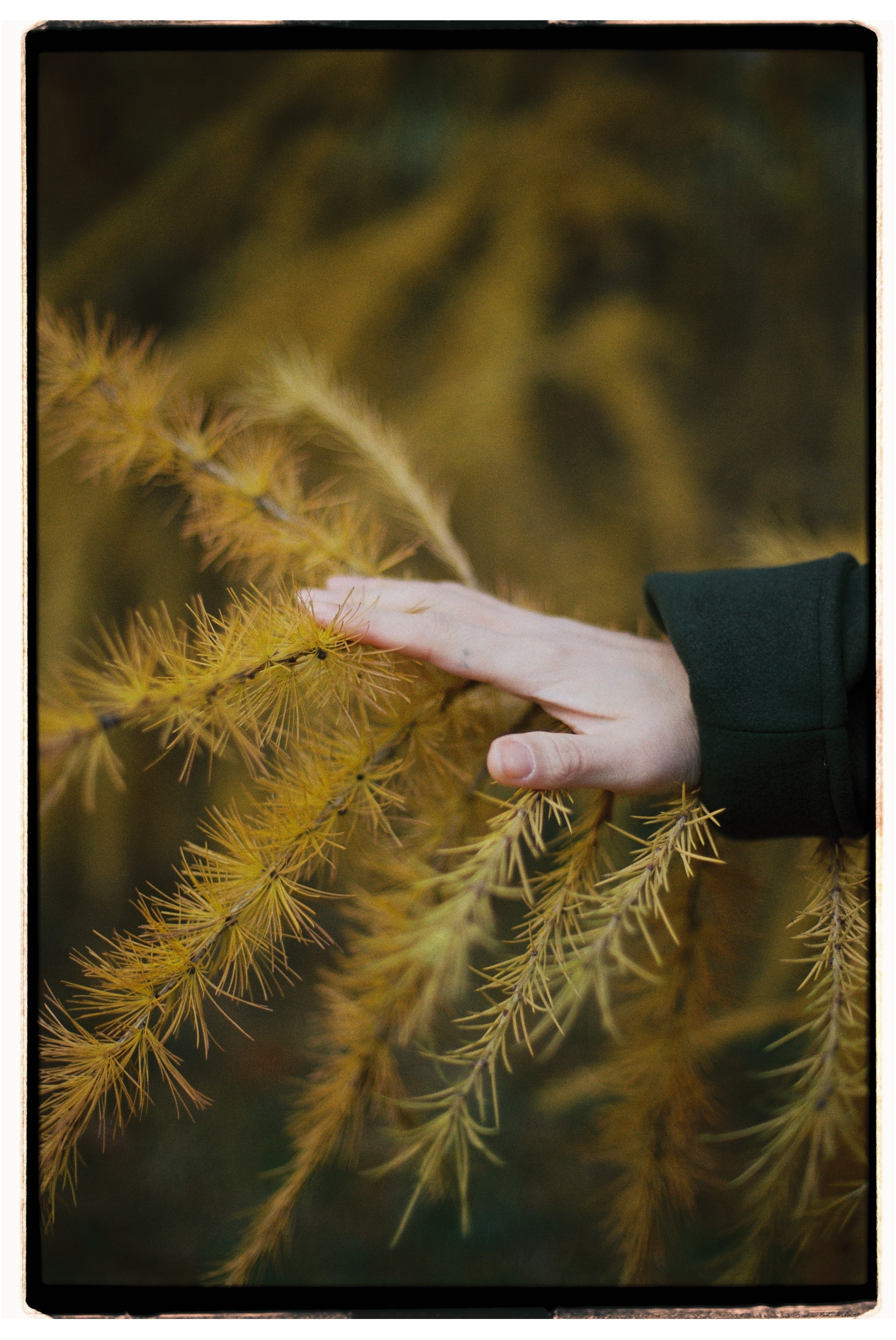 Сережа. Свадебный и фэшн фотограф в Москве и Санкт-Петербурге