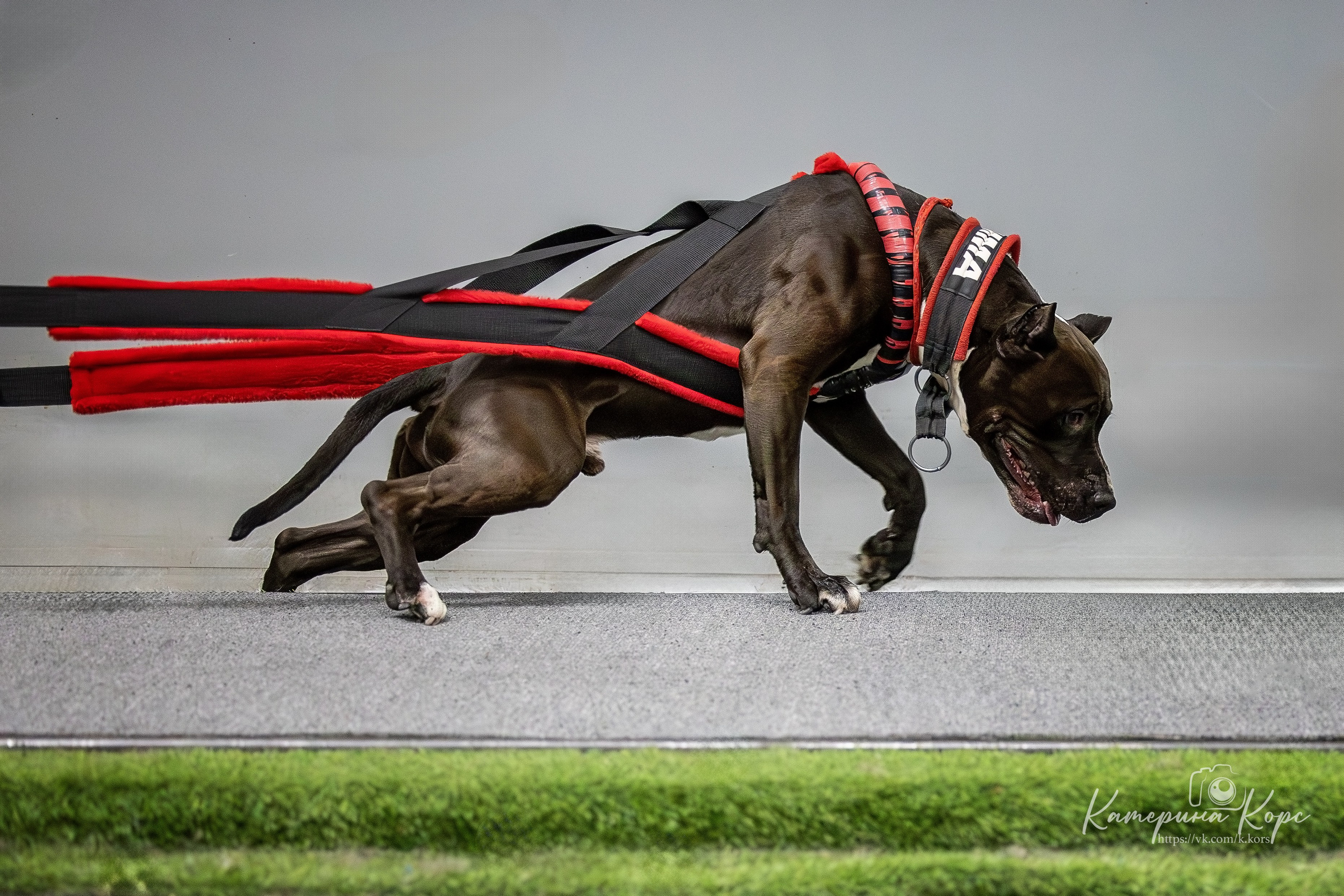 Спорт. Главная