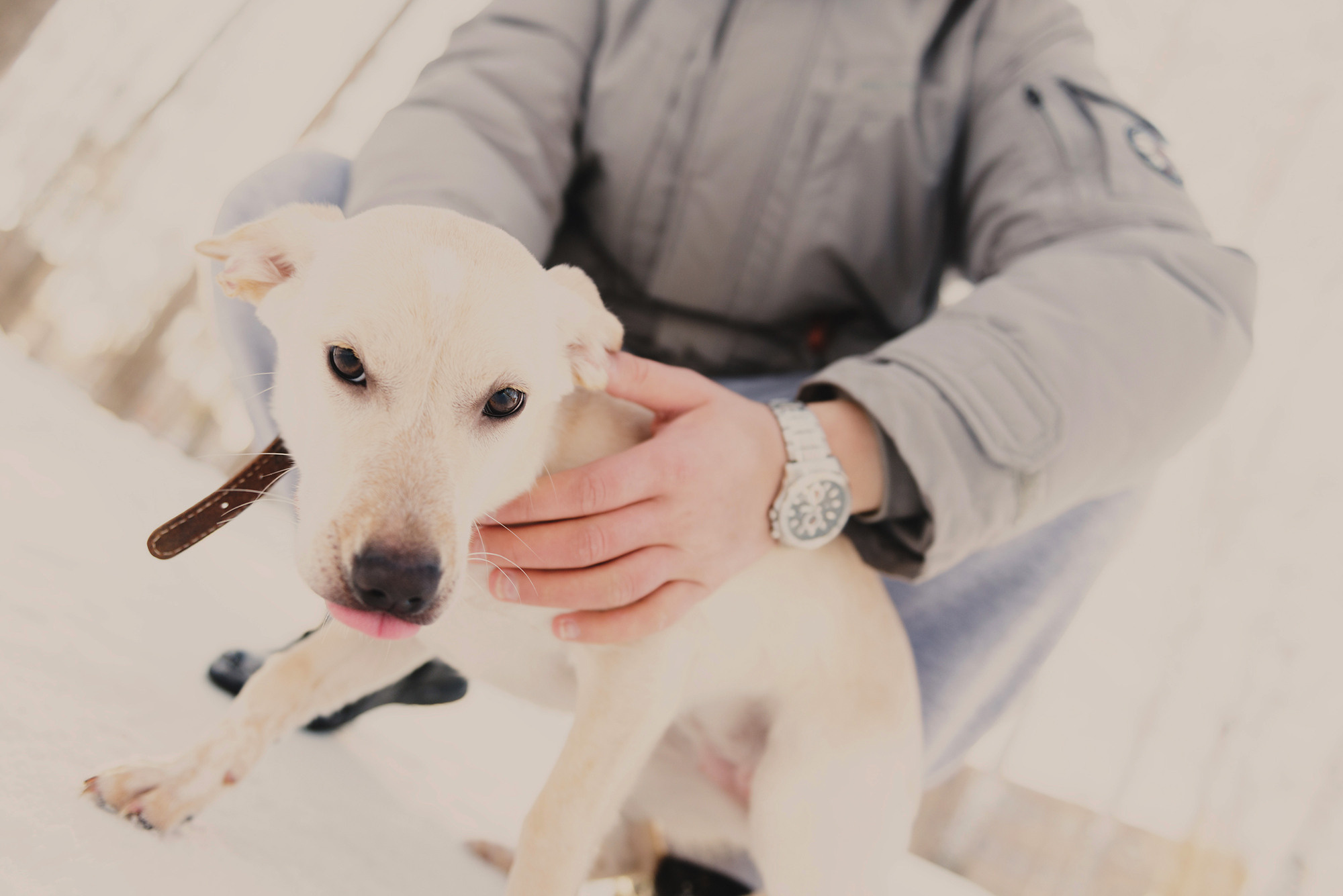 Саша, Карина и Тесси. Свадебный и семейный фотограф в Стерлитамаке, Салавате. Илья Антохин