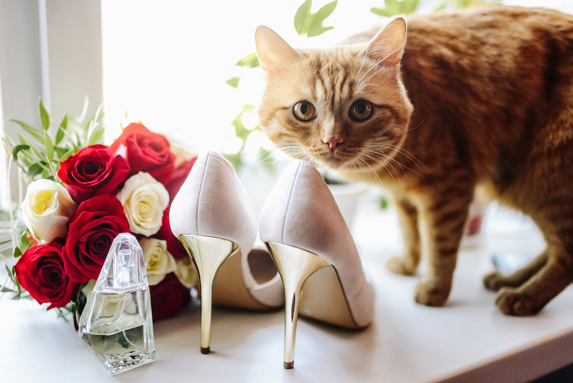 Сергей и Юлия. Свадебный и семейный фотограф в Стерлитамаке, Салавате. Илья Антохин