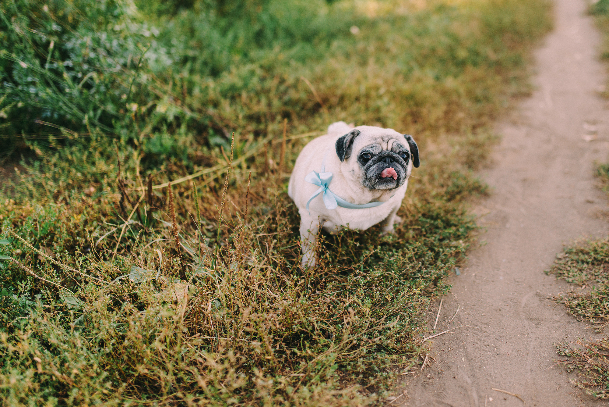 Максим, Евгения, Аня. Свадебный и семейный фотограф в Стерлитамаке, Салавате. Илья Антохин