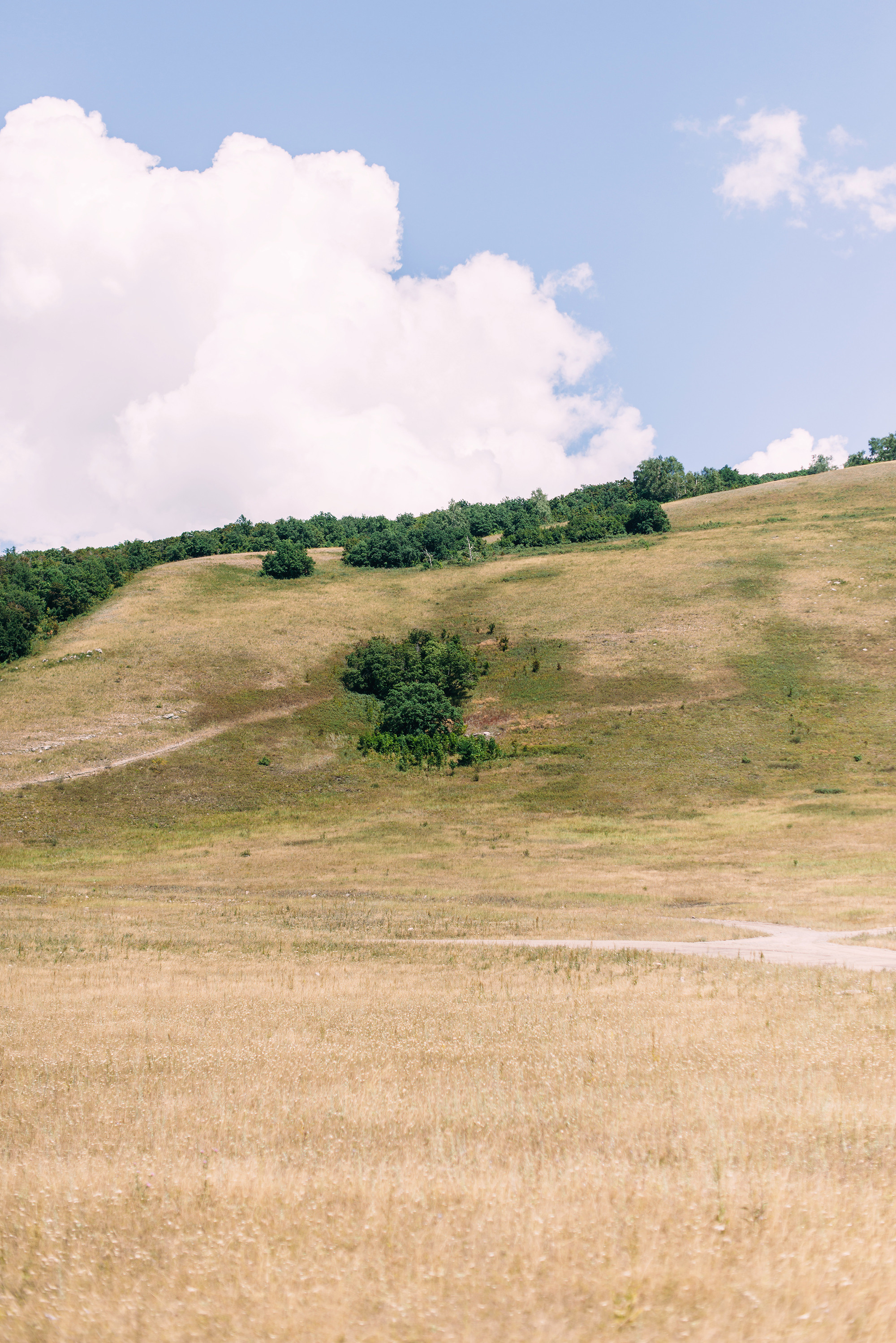 Альберт и Рита. Свадебный и семейный фотограф в Стерлитамаке, Салавате. Илья Антохин