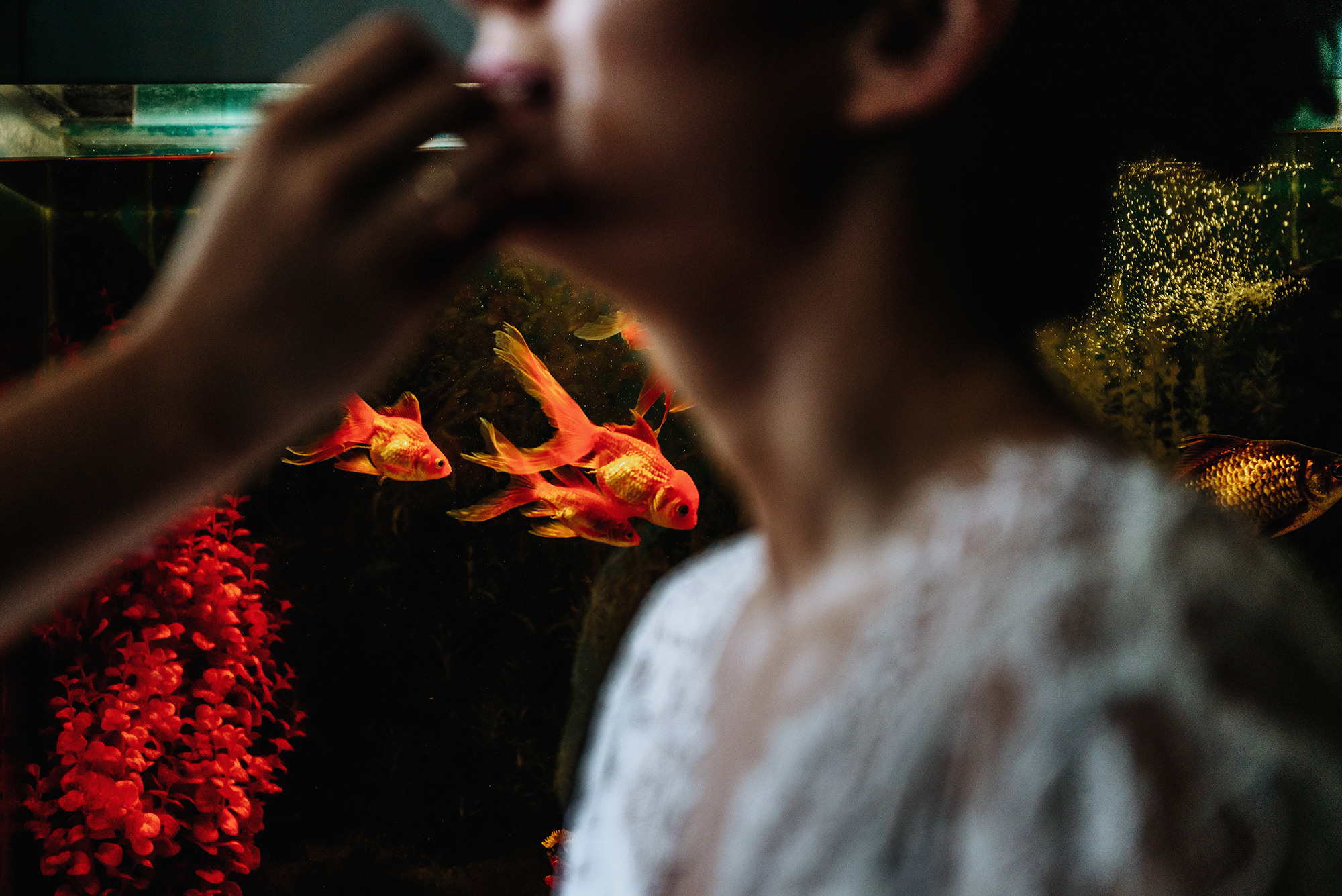 Константин и Оксана. Свадебный и семейный фотограф в Стерлитамаке, Салавате. Илья Антохин