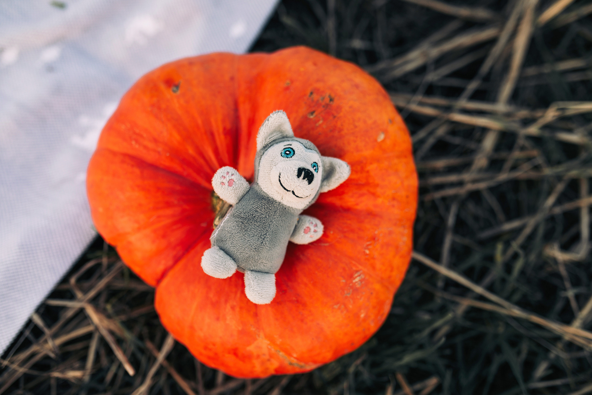 Торатау, осень, тыквы. Свадебный и семейный фотограф в Стерлитамаке, Салавате. Илья Антохин