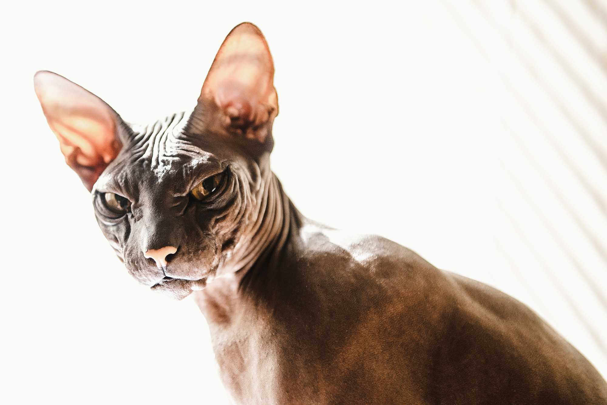 Илья и Виталия. Свадебный и семейный фотограф в Стерлитамаке, Салавате. Илья Антохин