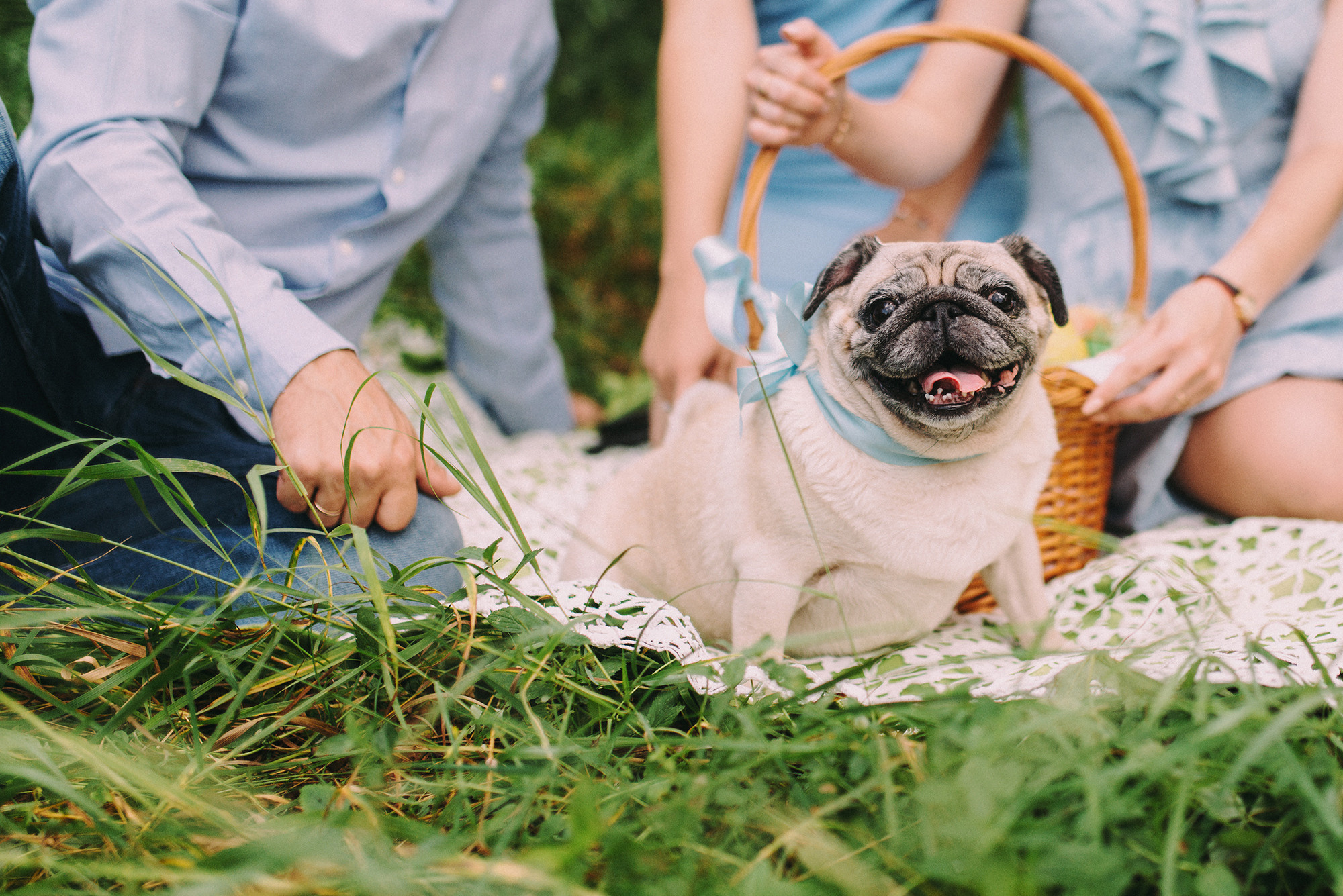 Максим, Евгения, Аня. Свадебный и семейный фотограф в Стерлитамаке, Салавате. Илья Антохин