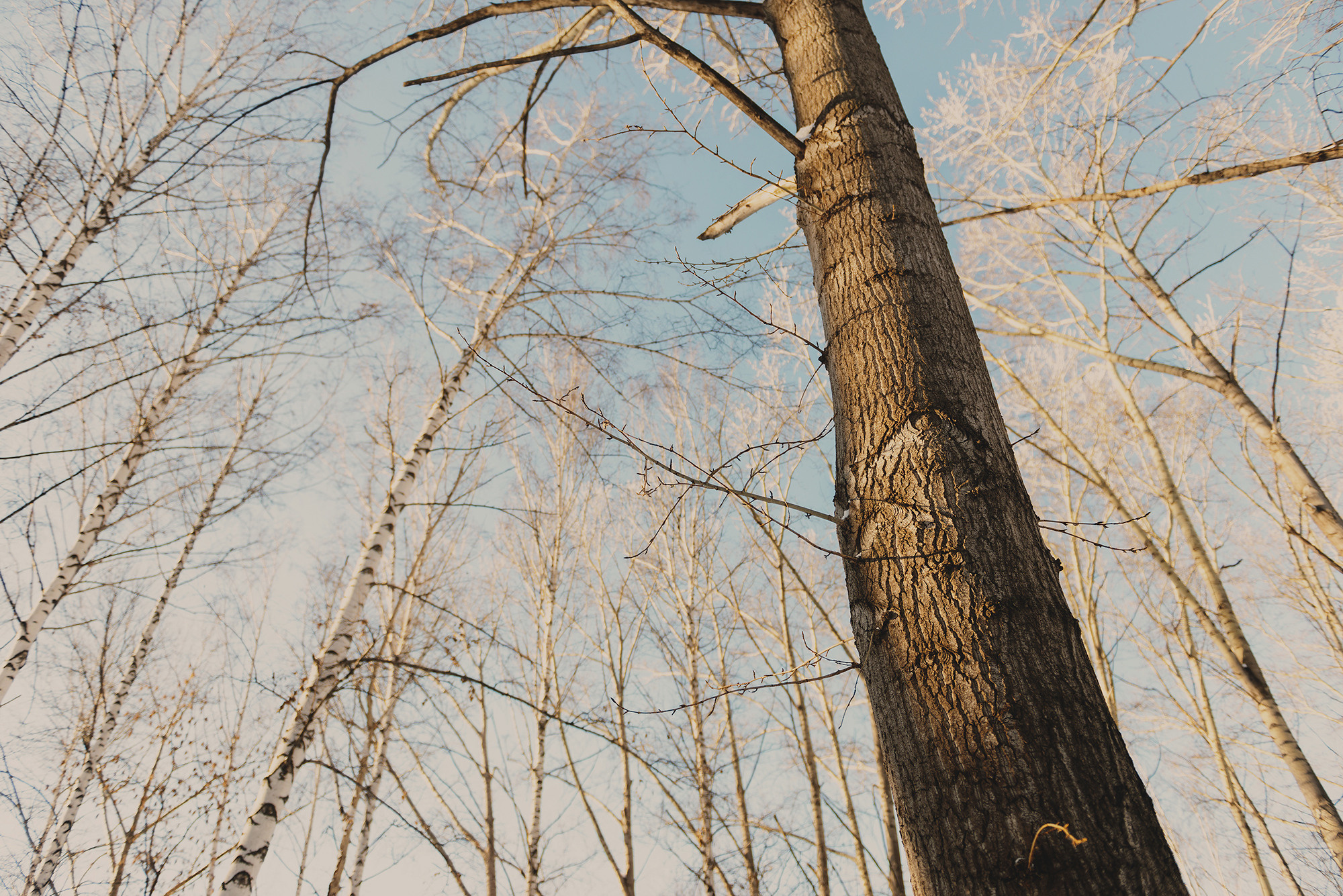 Саша, Карина и Тесси. Свадебный и семейный фотограф в Стерлитамаке, Салавате. Илья Антохин