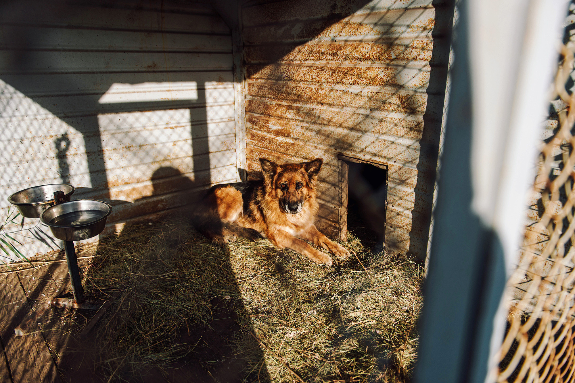 Александр и Юлия. Свадебный и семейный фотограф в Стерлитамаке, Салавате. Илья Антохин