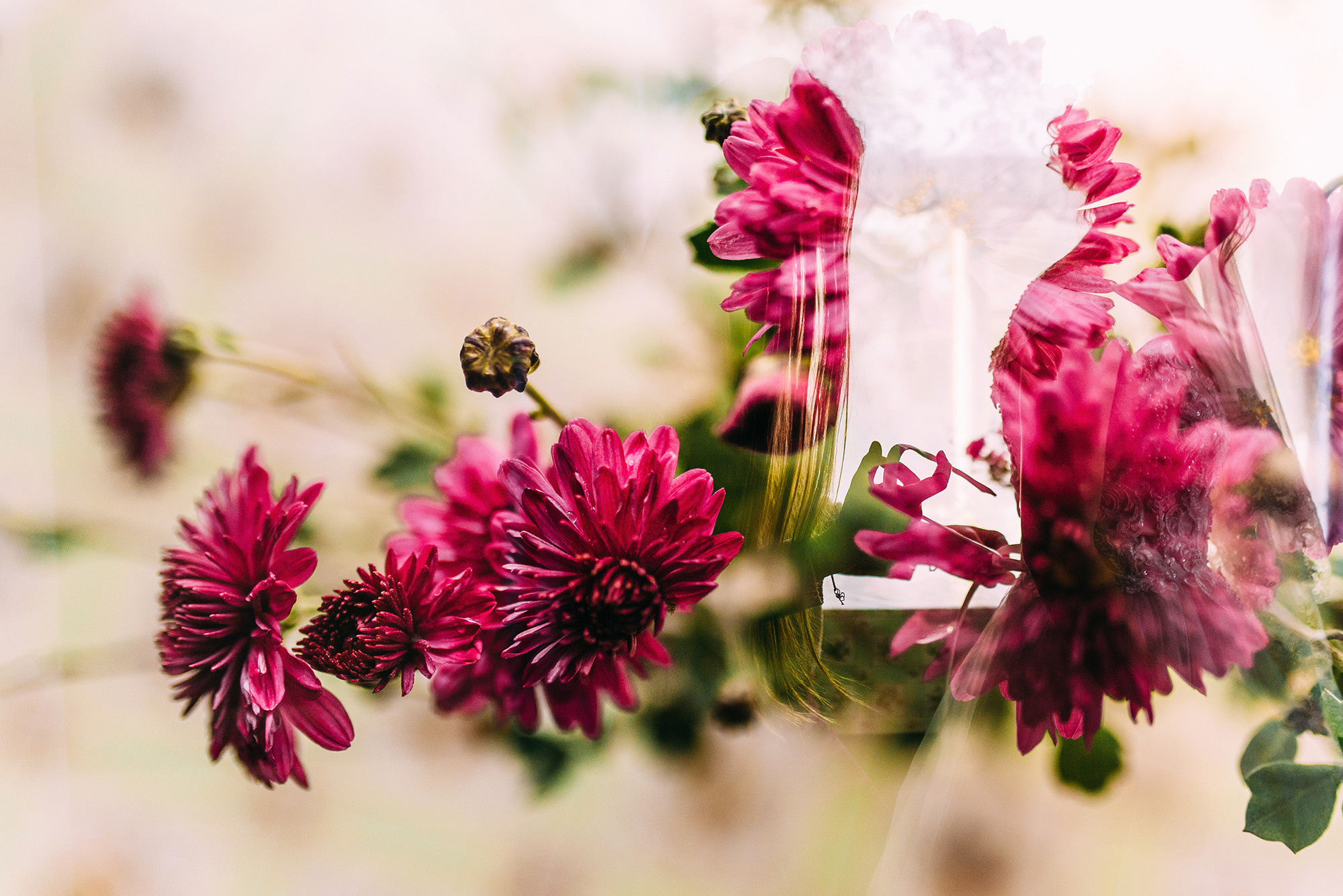 Иван и Виктория. Свадебный и семейный фотограф в Стерлитамаке, Салавате. Илья Антохин