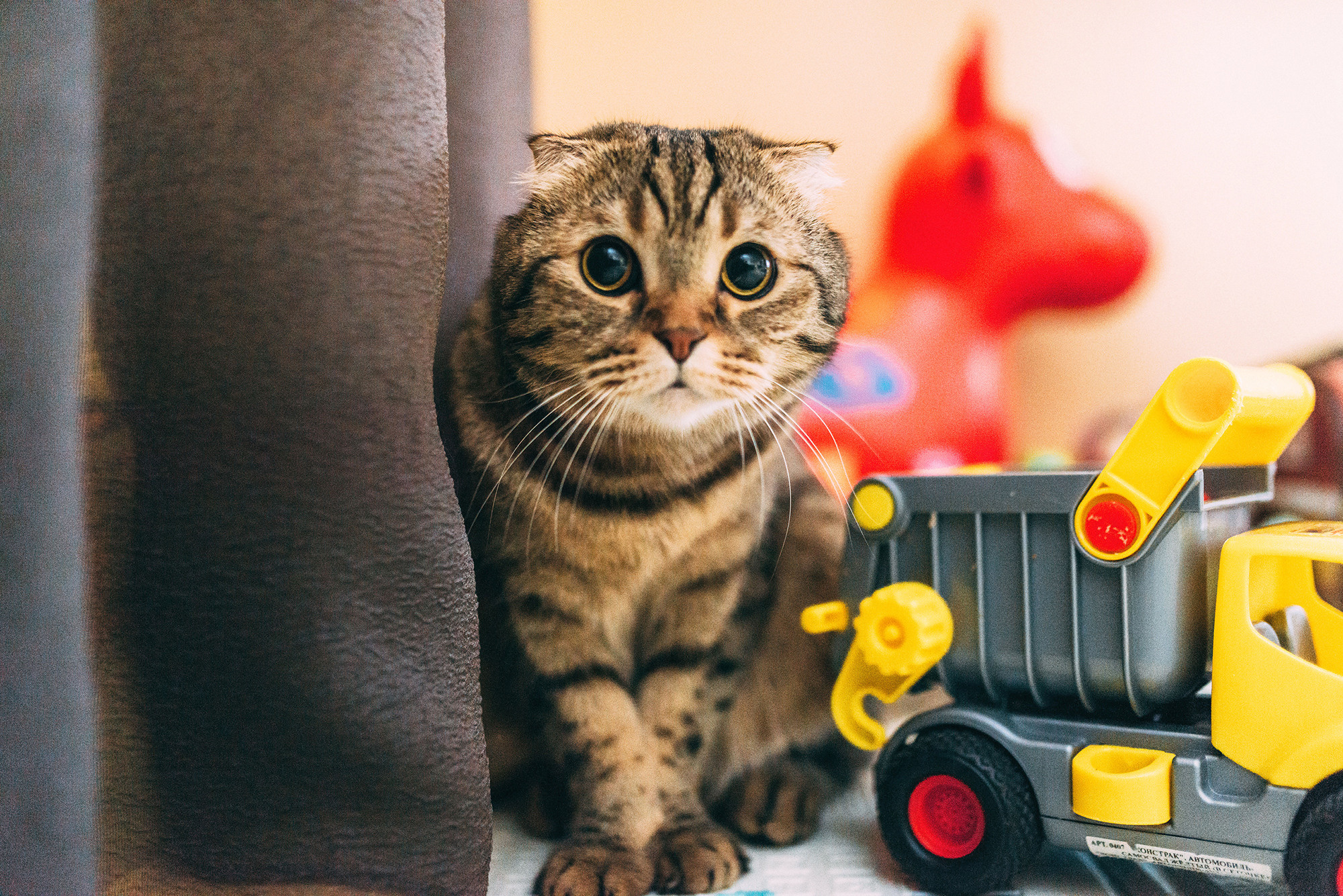 Бакс против фотосессий. Свадебный и семейный фотограф в Стерлитамаке, Салавате. Илья Антохин