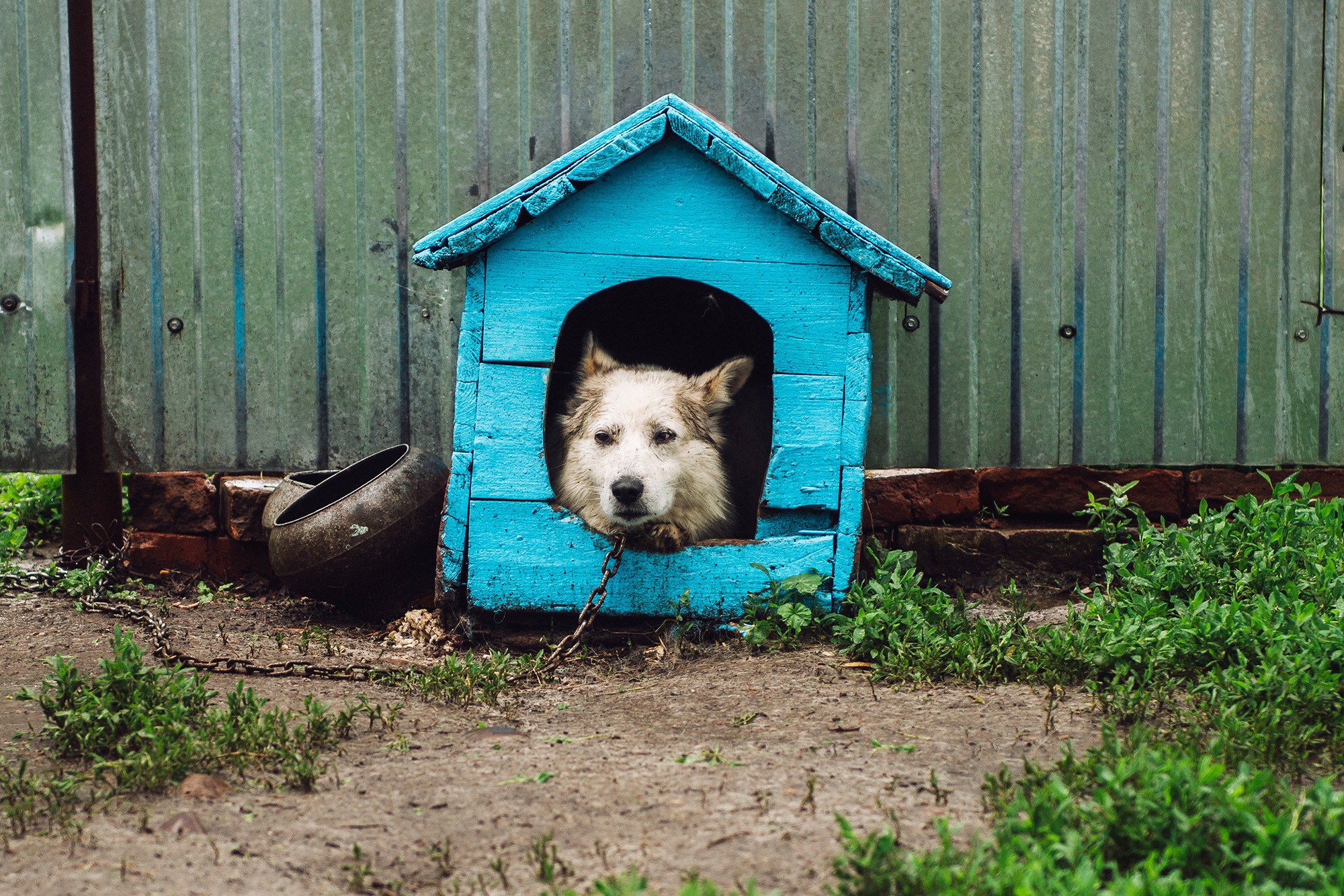 Тимур и Айгуль. Свадебный и семейный фотограф в Стерлитамаке, Салавате. Илья Антохин