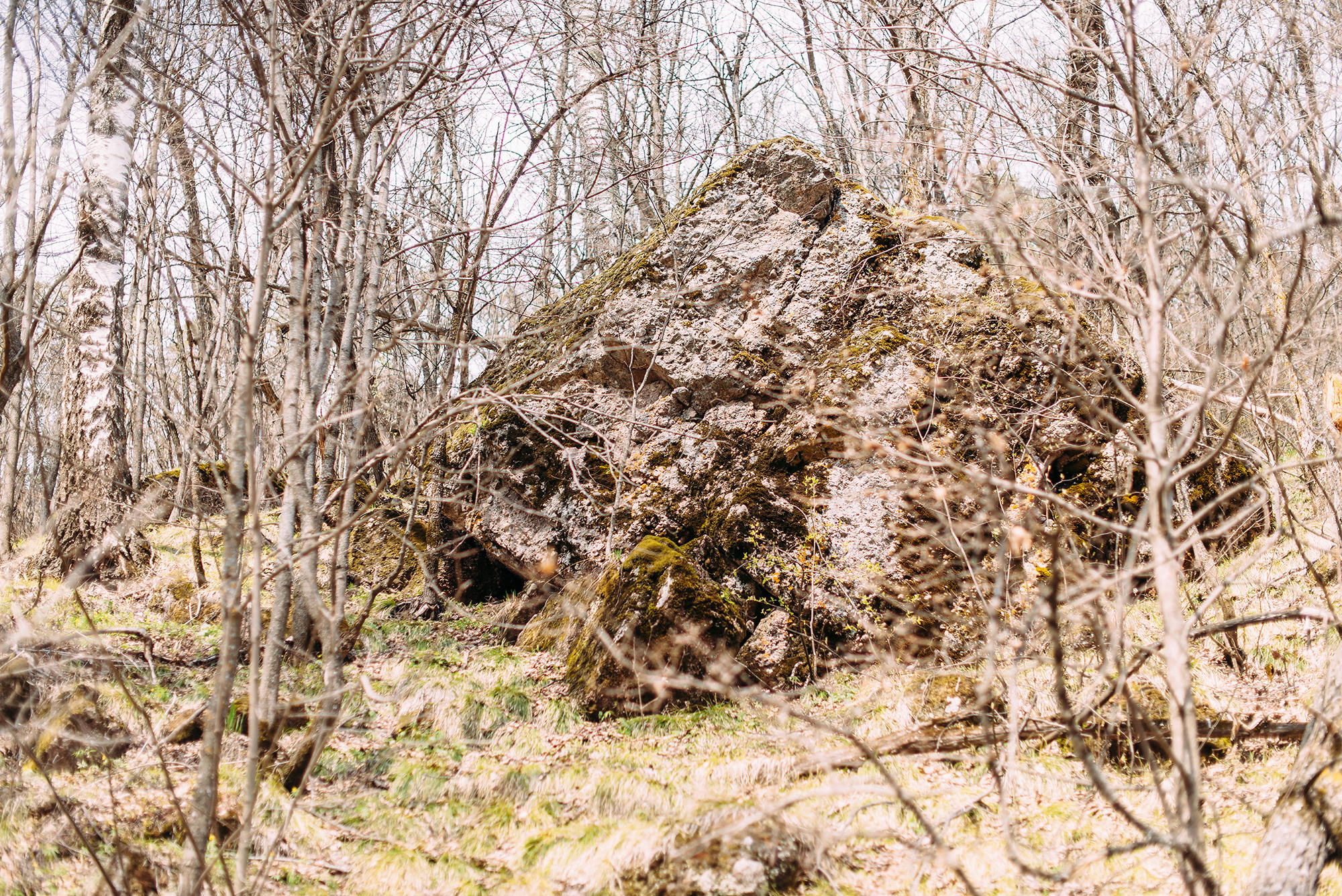 Юрий и Людмила. Свадебный и семейный фотограф в Стерлитамаке, Салавате. Илья Антохин