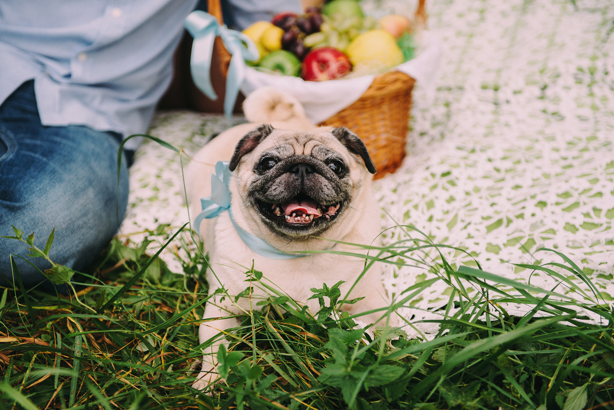 Максим, Евгения, Аня. Свадебный и семейный фотограф в Стерлитамаке, Салавате. Илья Антохин