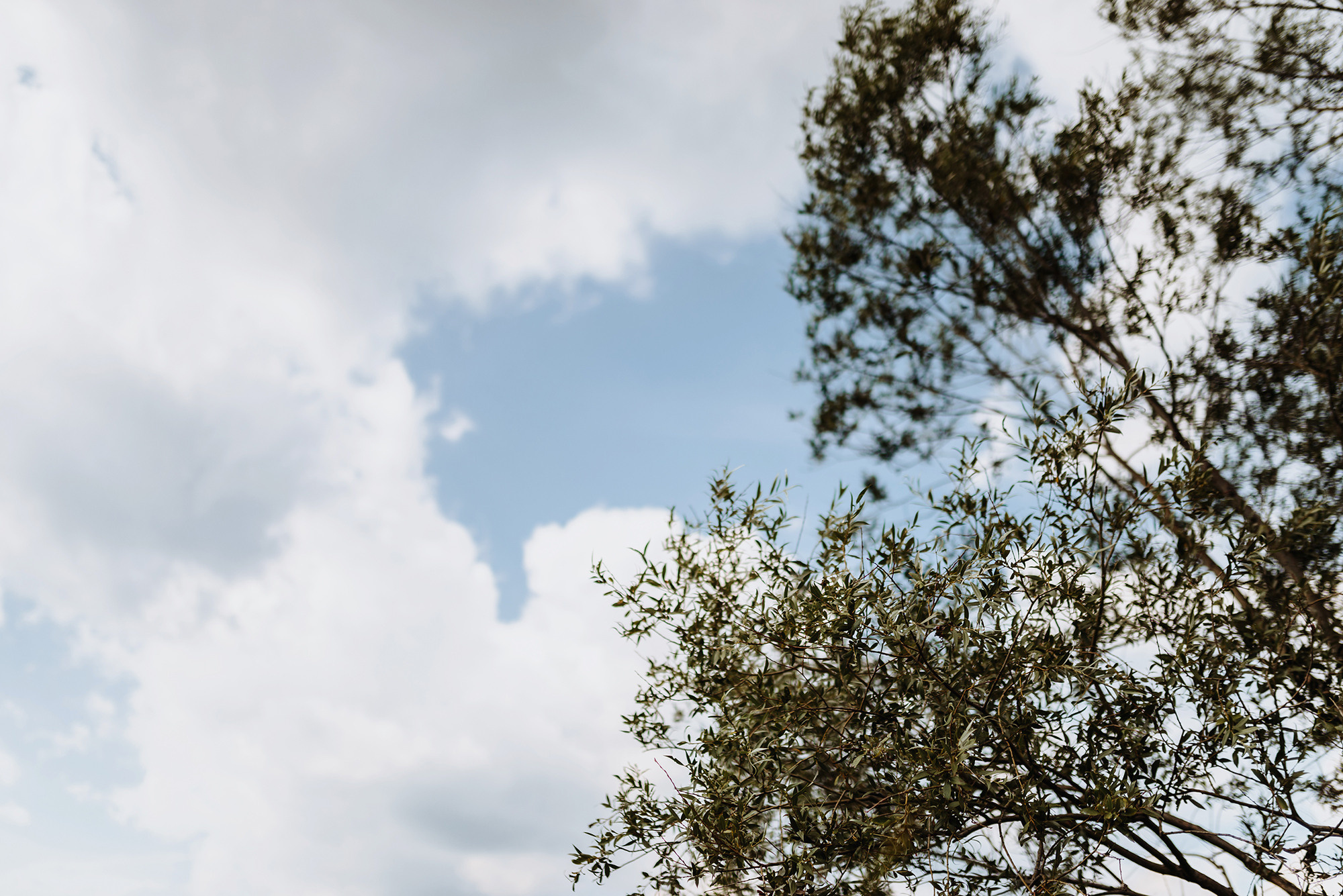Мурат и Лейсан. Свадебный и семейный фотограф в Стерлитамаке, Салавате. Илья Антохин