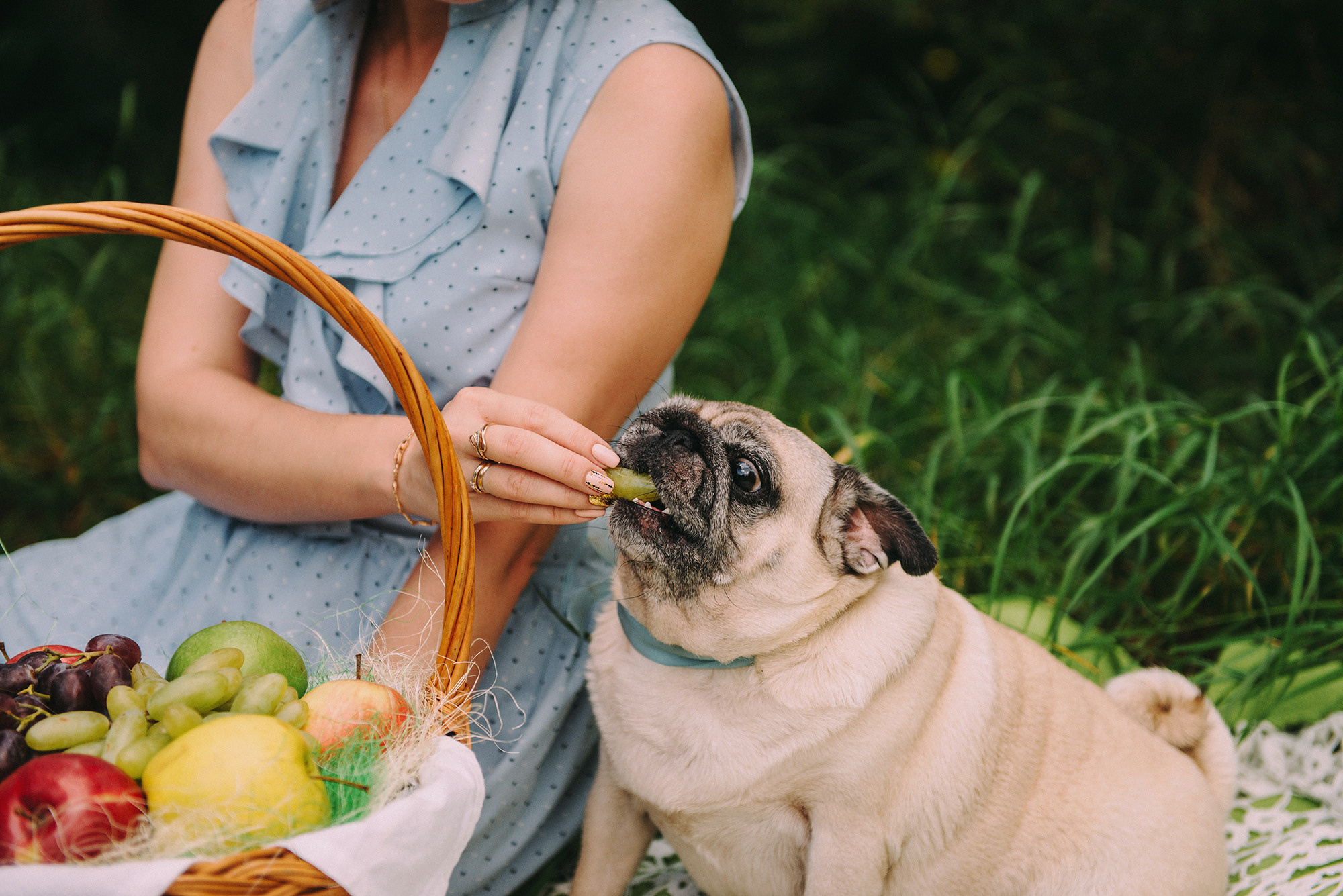 Максим, Евгения, Аня. Свадебный и семейный фотограф в Стерлитамаке, Салавате. Илья Антохин