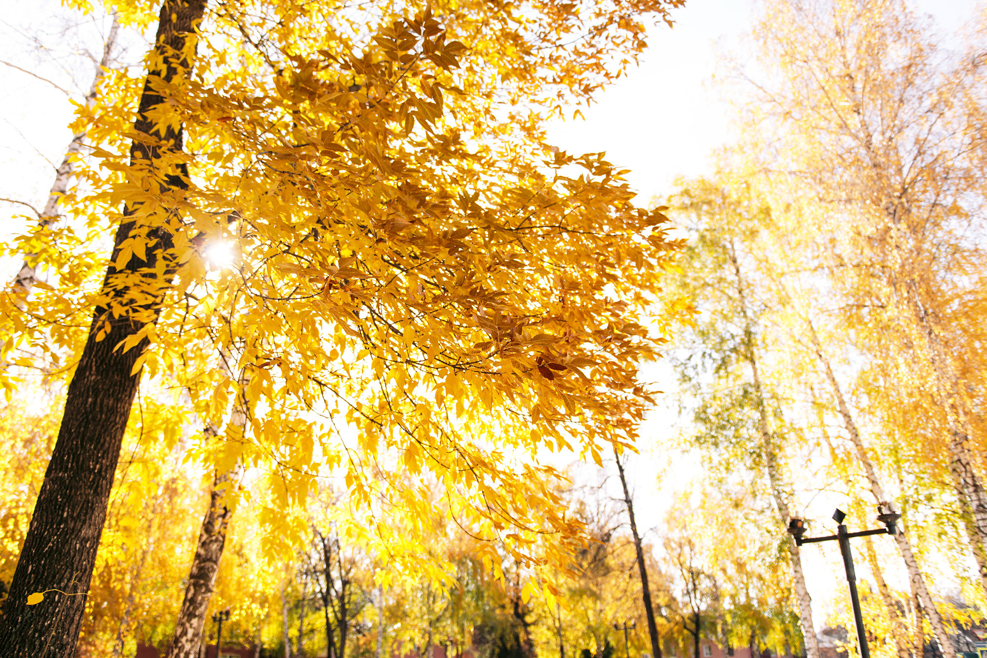 Артём и Ксения. Свадебный и семейный фотограф в Стерлитамаке, Салавате. Илья Антохин