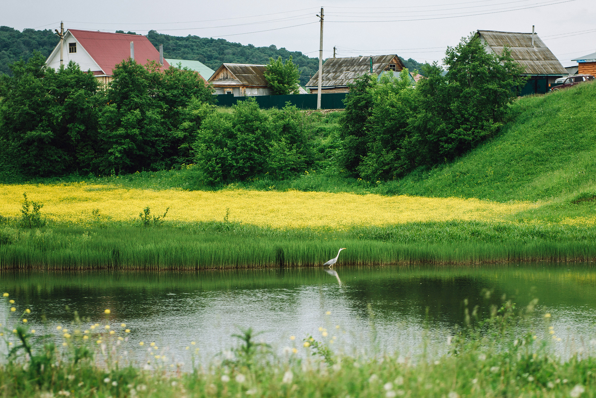 Тимур и Айгуль. Свадебный и семейный фотограф в Стерлитамаке, Салавате. Илья Антохин