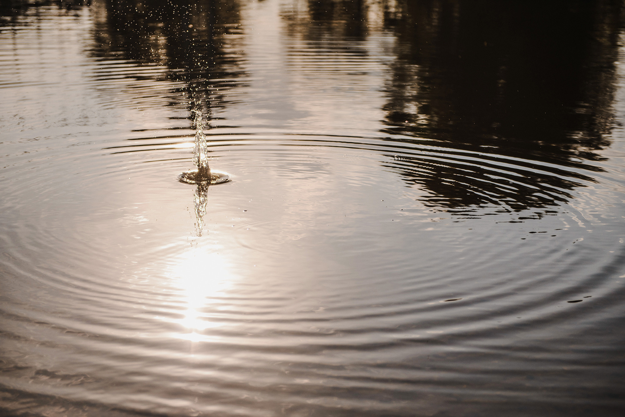 Бумажный кораблик и тёплый берег реки. Свадебный и семейный фотограф в Стерлитамаке, Салавате. Илья Антохин