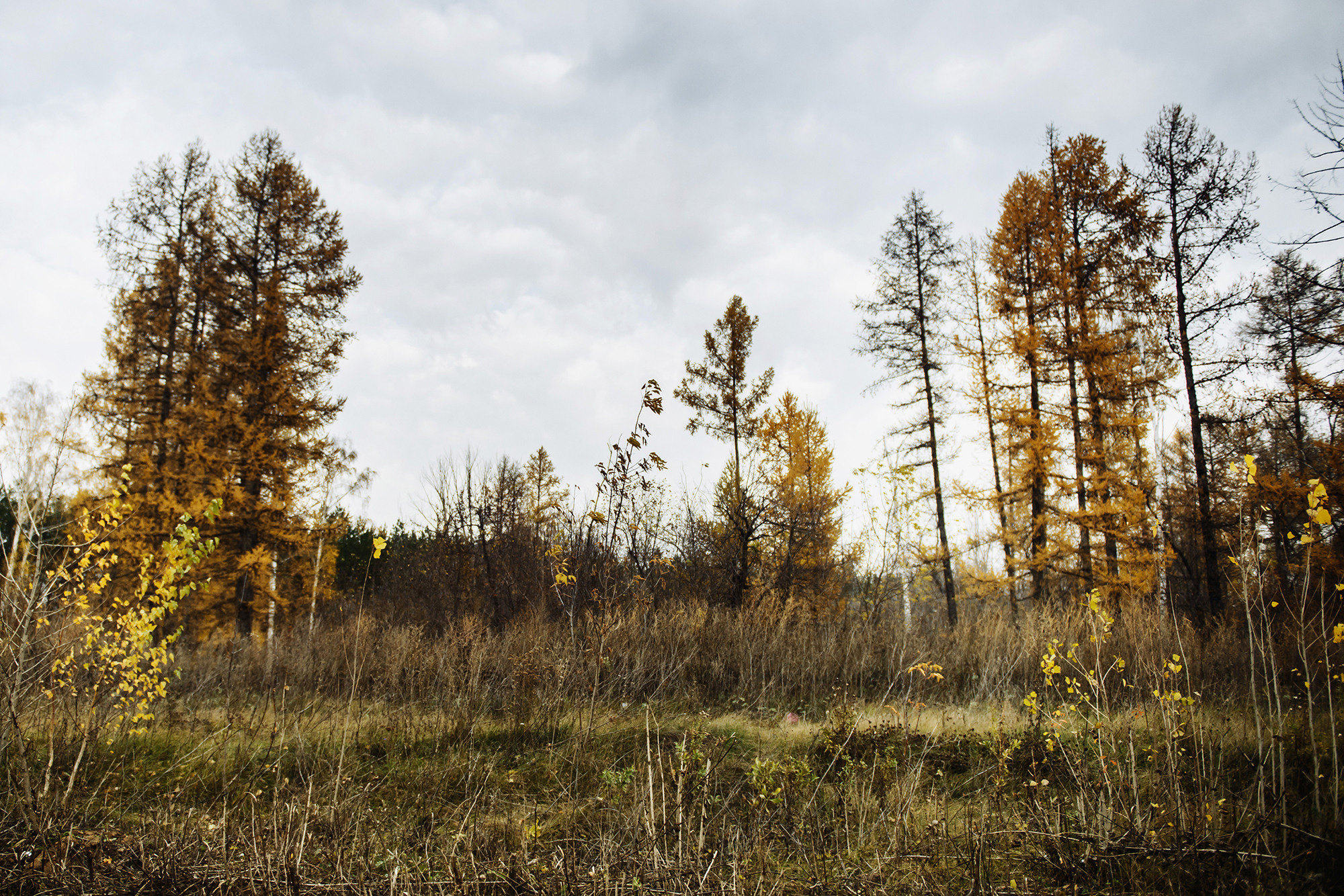 Артур и Мария. Свадебный и семейный фотограф в Стерлитамаке, Салавате. Илья Антохин