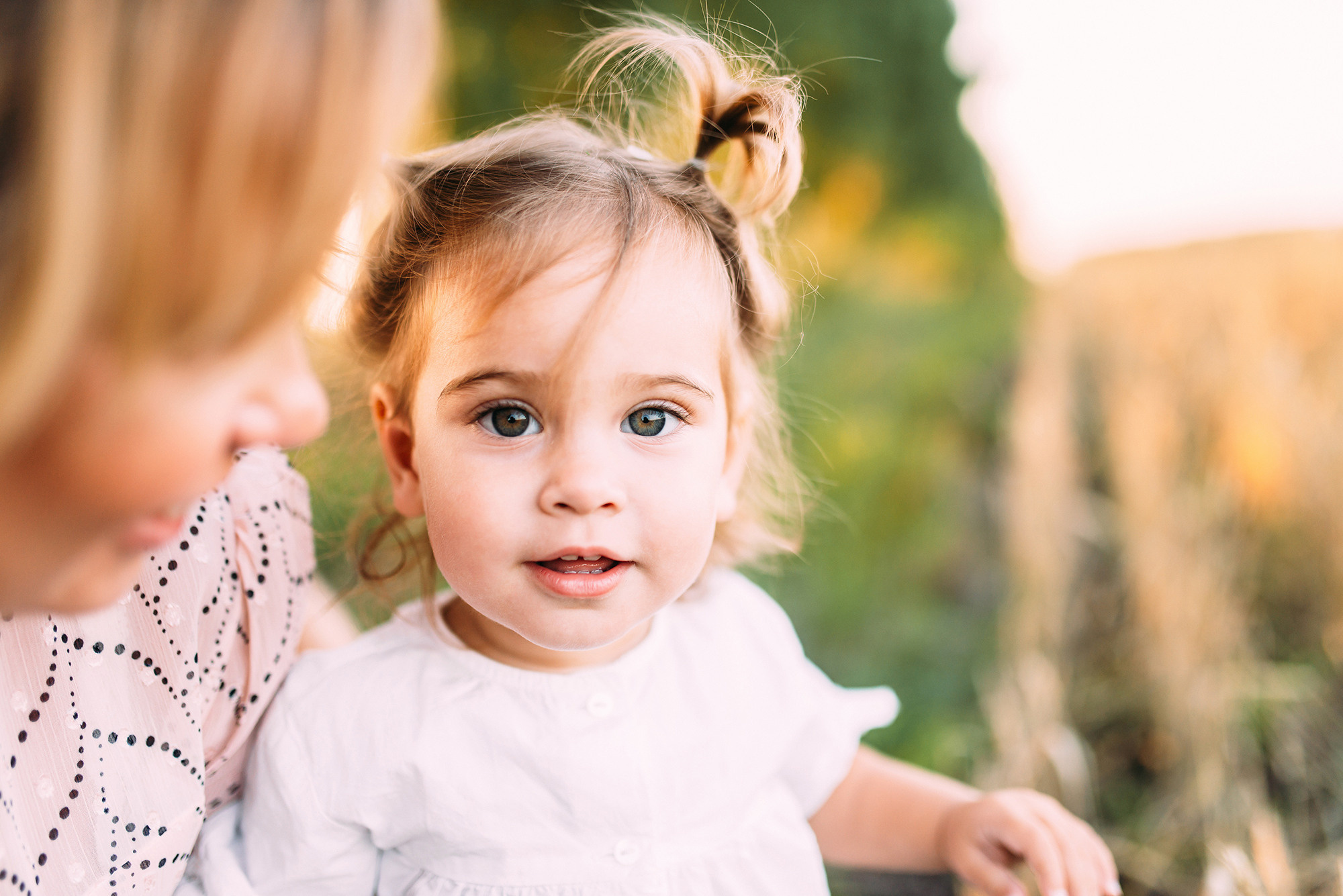 В поисках «пшеничного волка». Свадебный и семейный фотограф в Стерлитамаке, Салавате. Илья Антохин