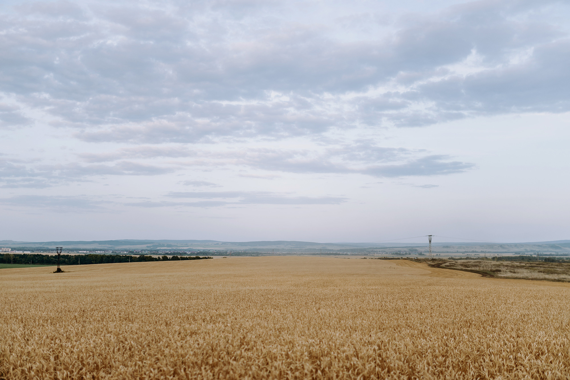 Андрей и Анастасия. Свадебный и семейный фотограф в Стерлитамаке, Салавате. Илья Антохин