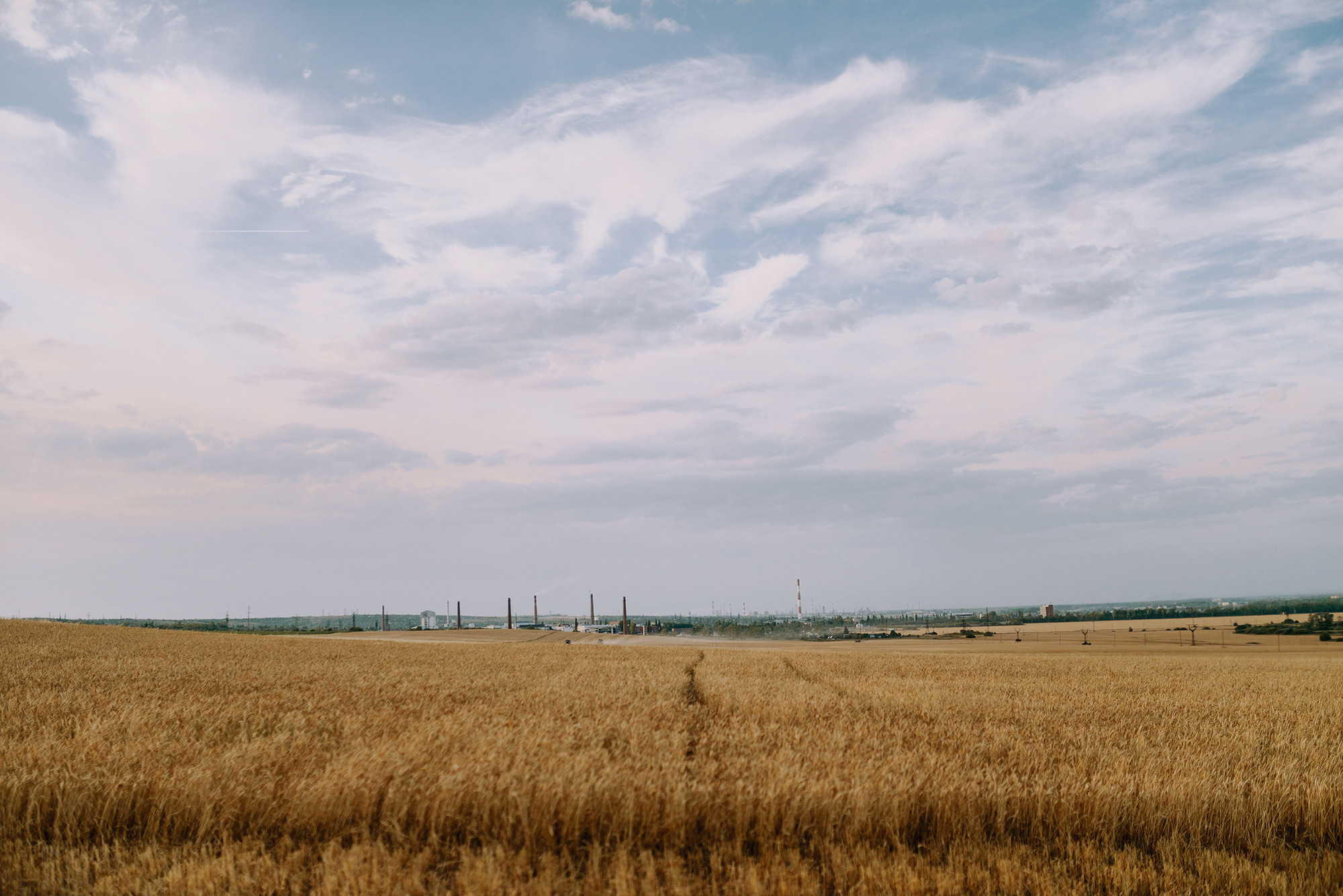 Андрей и Анастасия. Свадебный и семейный фотограф в Стерлитамаке, Салавате. Илья Антохин