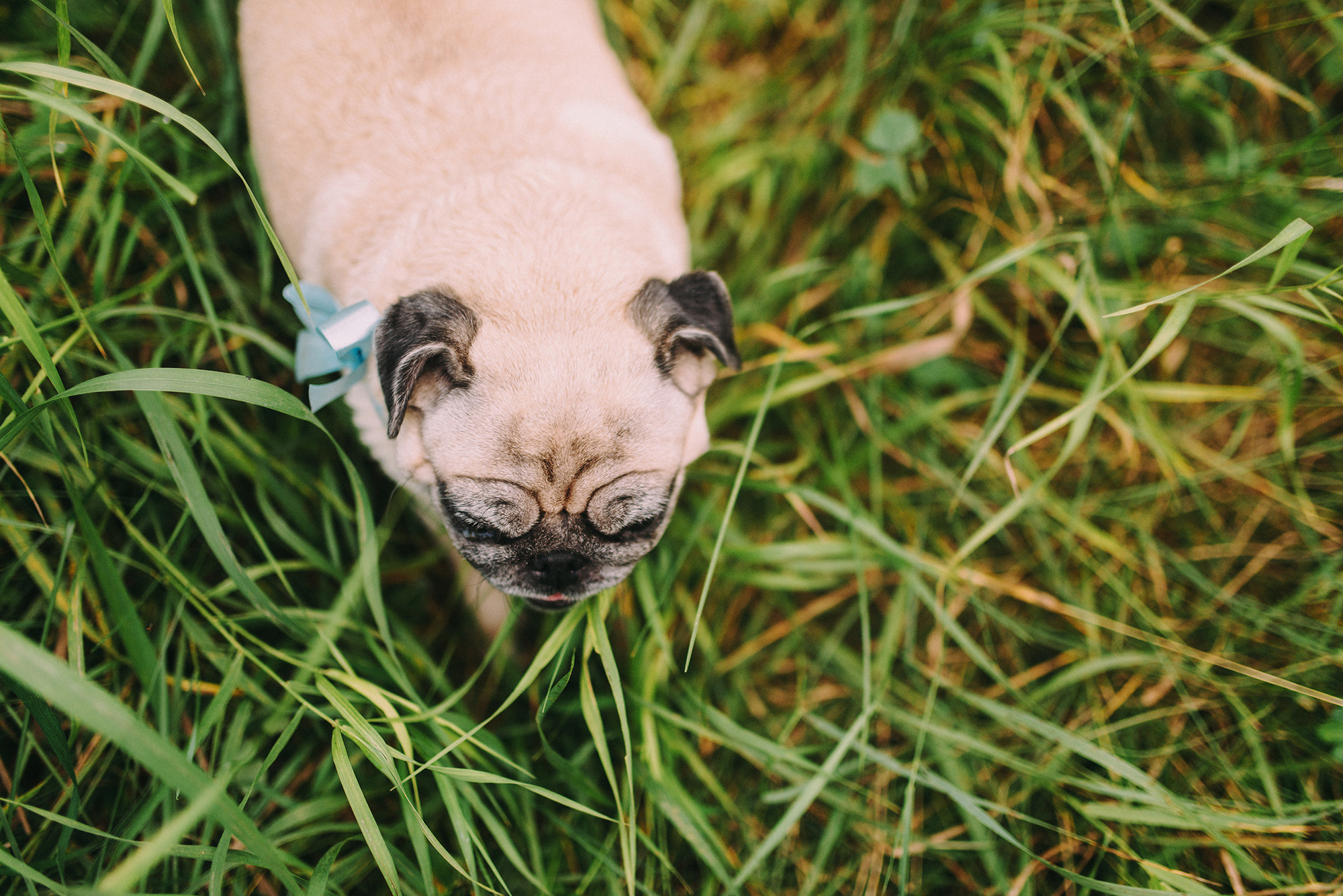 Максим, Евгения, Аня. Свадебный и семейный фотограф в Стерлитамаке, Салавате. Илья Антохин