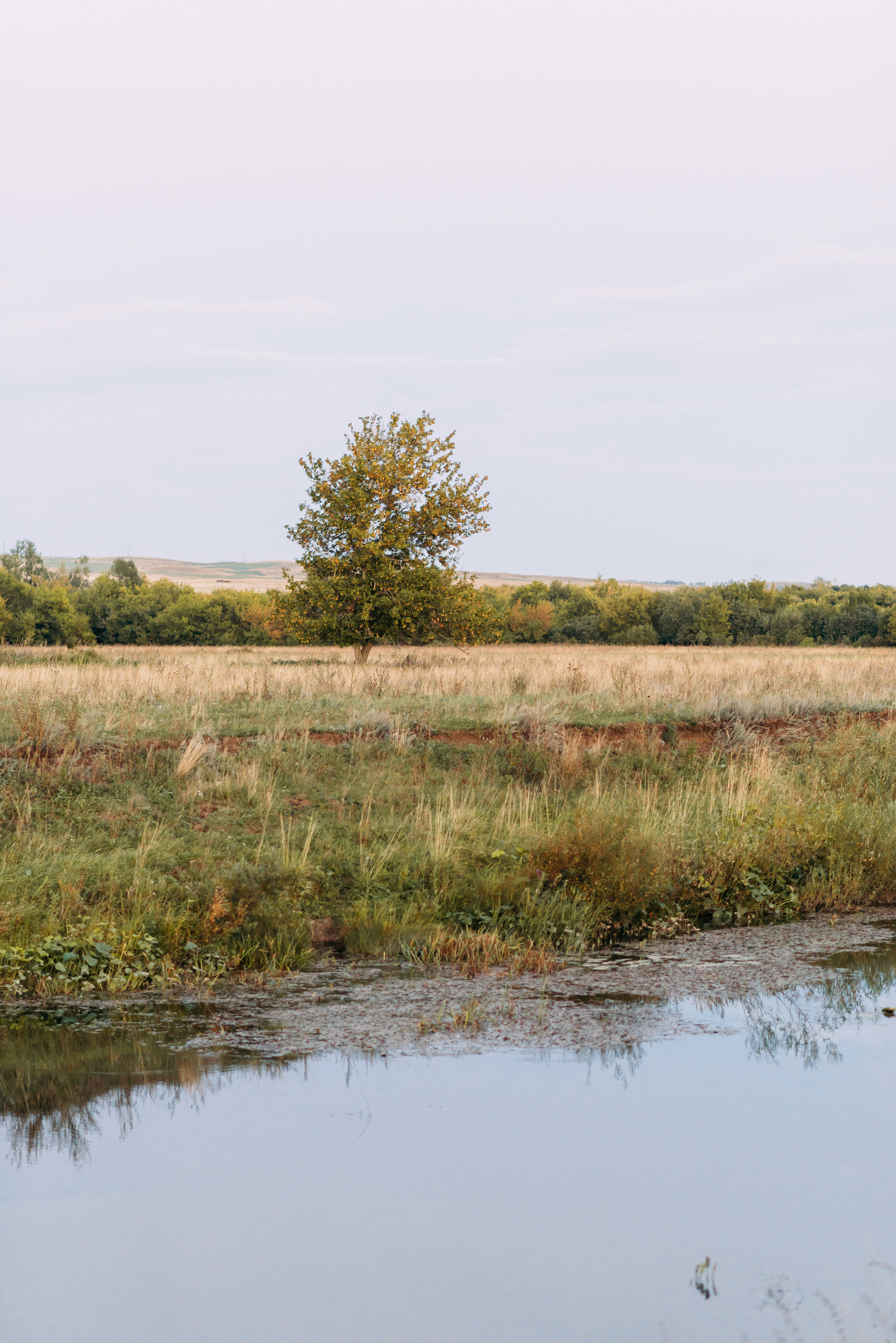 Закат, Корнеевка, Сухайла. Свадебный и семейный фотограф в Стерлитамаке, Салавате. Илья Антохин