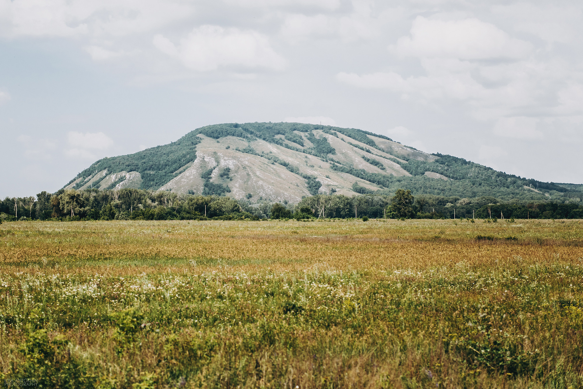 Эмиль и Азалия. Свадебный и семейный фотограф в Стерлитамаке, Салавате. Илья Антохин