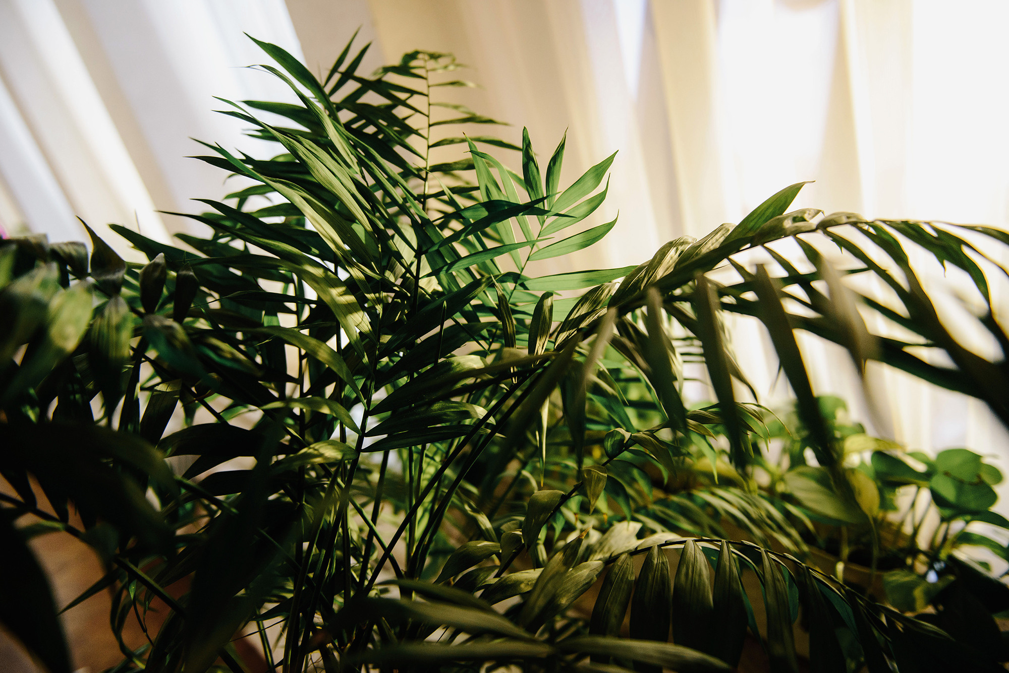 Альфред и Ирина. Свадебный и семейный фотограф в Стерлитамаке, Салавате. Илья Антохин