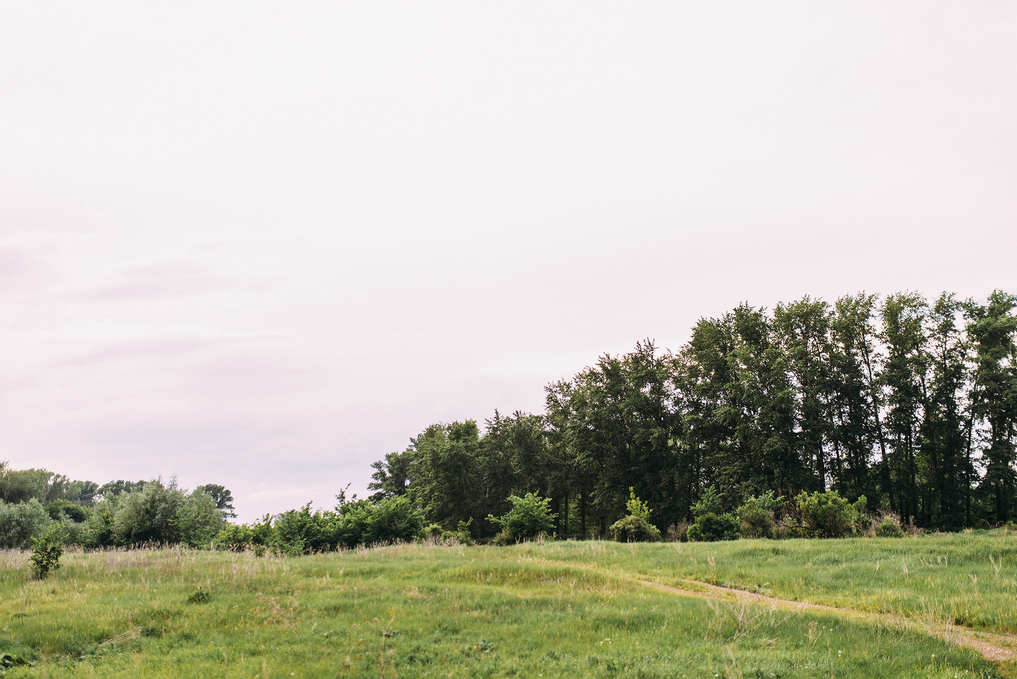 Максим и Кристина. Свадебный и семейный фотограф в Стерлитамаке, Салавате. Илья Антохин