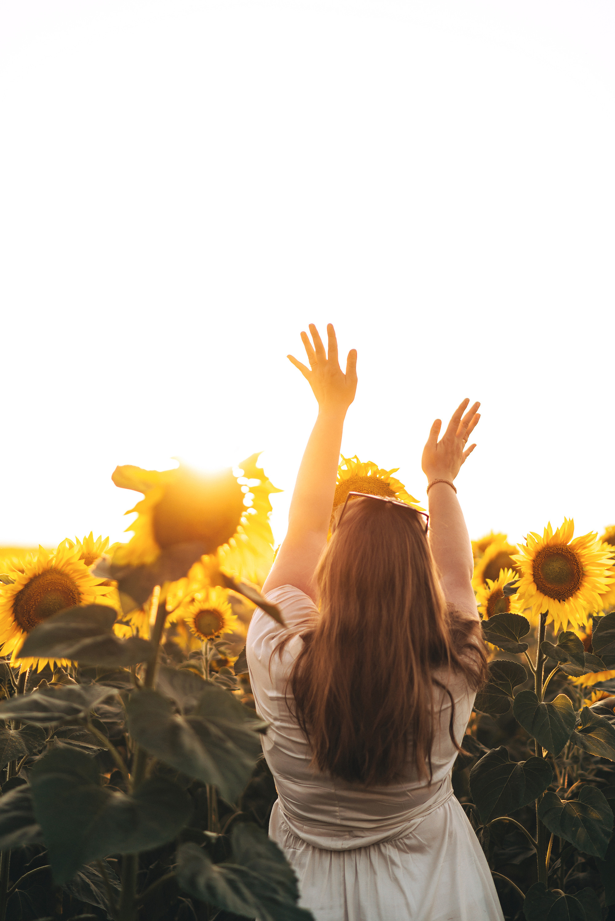 Гриб, круассан и дубовый листочек. Свадебный и семейный фотограф в Стерлитамаке, Салавате. Илья Антохин