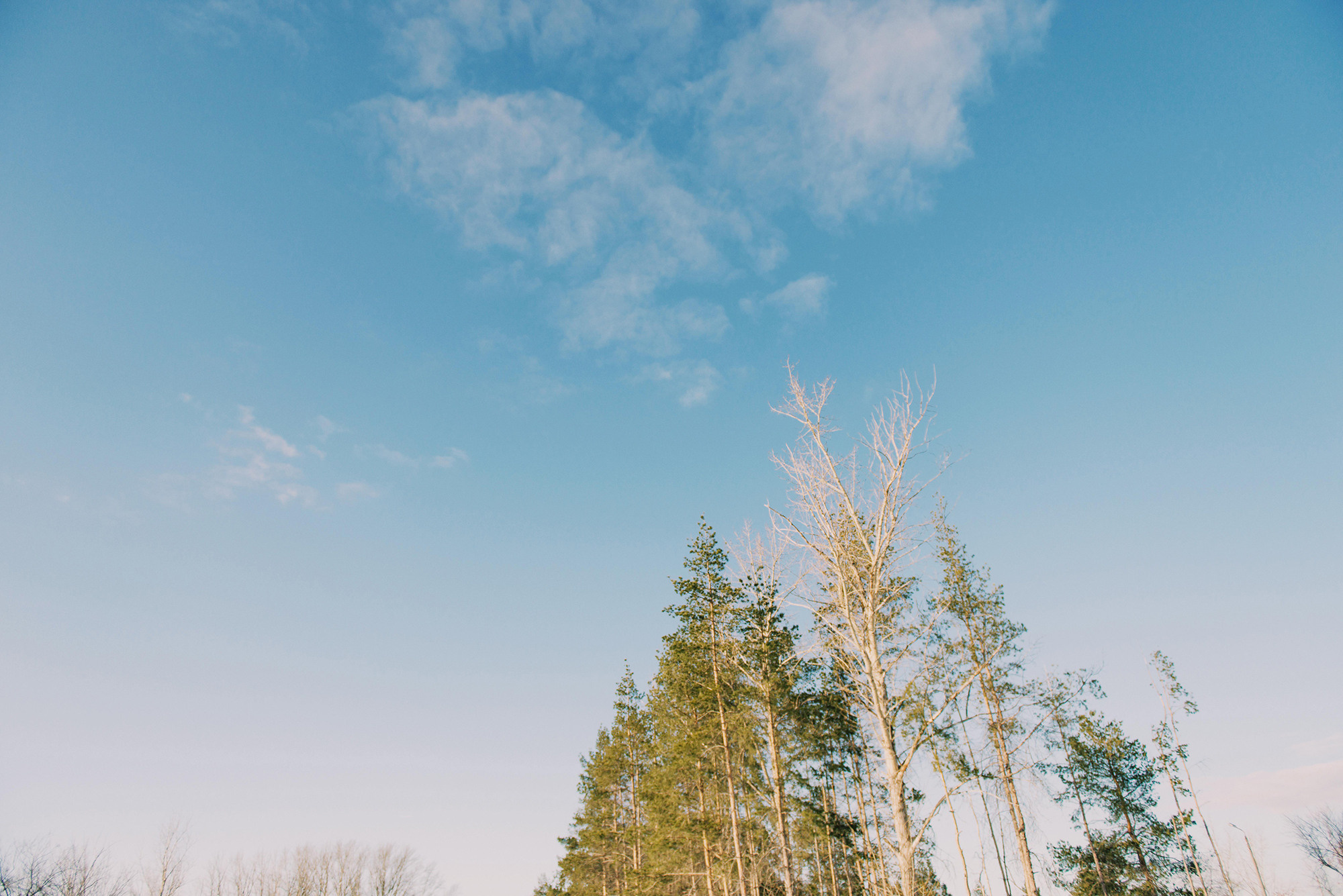 Саша и Юля. Свадебный и семейный фотограф в Стерлитамаке, Салавате. Илья Антохин