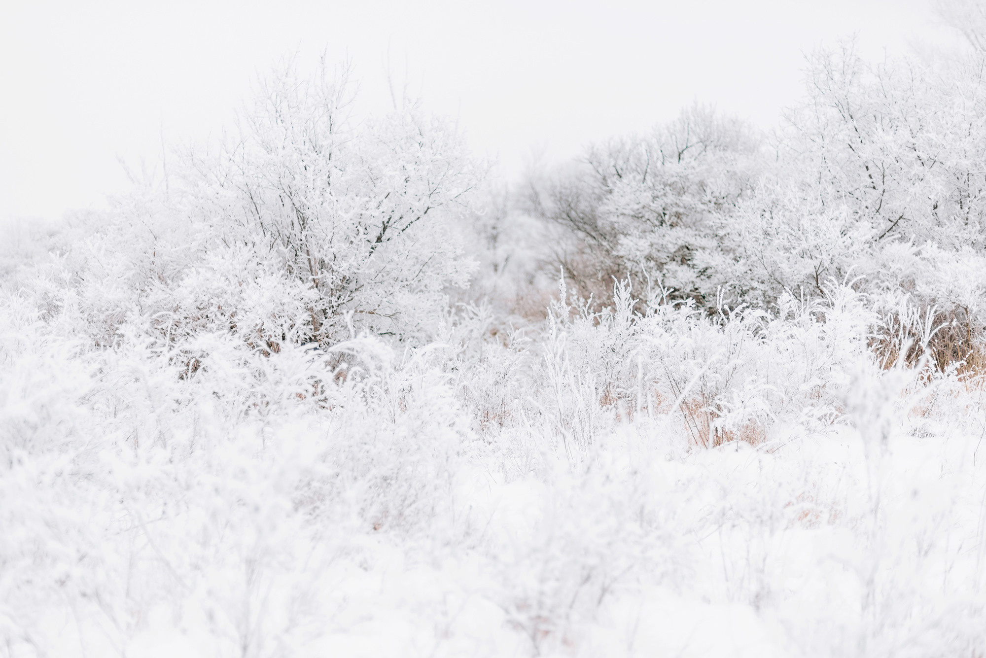 Моя Бабуля Валентина Ильинична. Свадебный и семейный фотограф в Стерлитамаке, Салавате. Илья Антохин