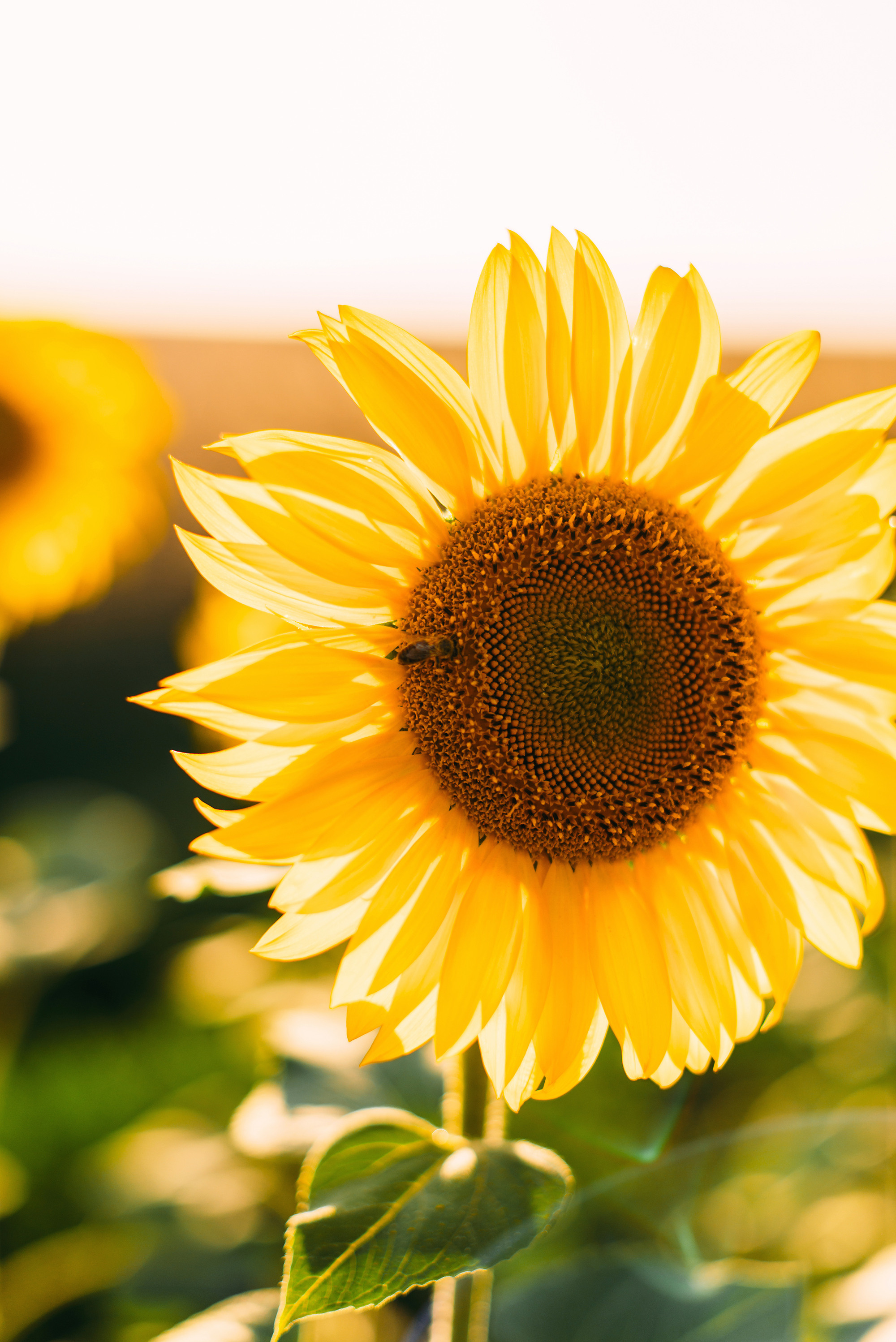 12 км к северо-западу от села Зирган. Свадебный и семейный фотограф в Стерлитамаке, Салавате. Илья Антохин