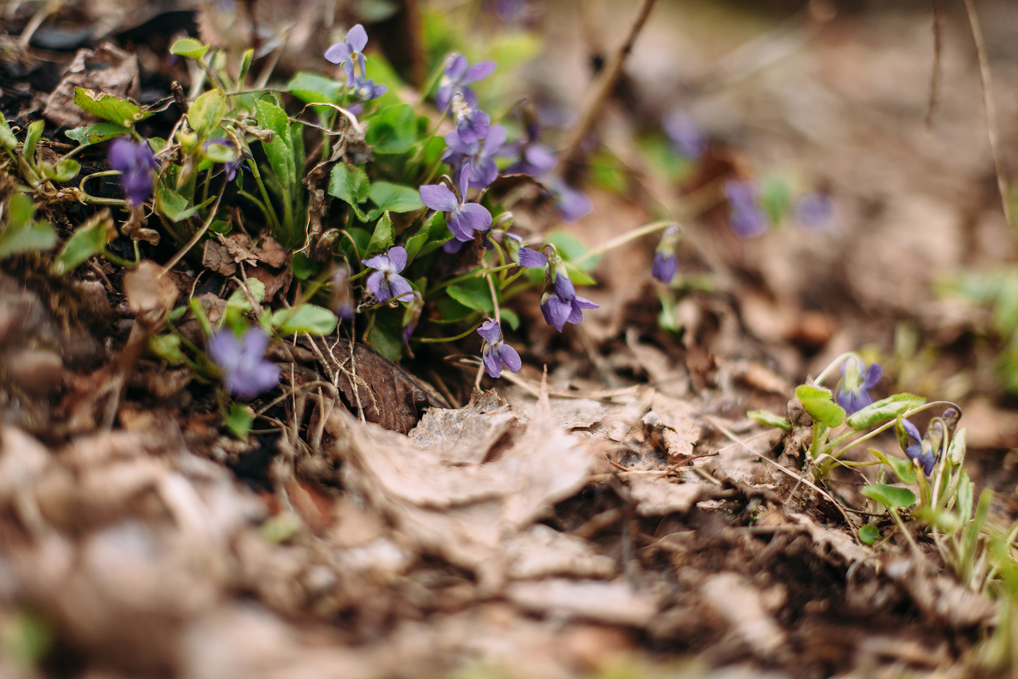 Юрий и Людмила. Свадебный и семейный фотограф в Стерлитамаке, Салавате. Илья Антохин