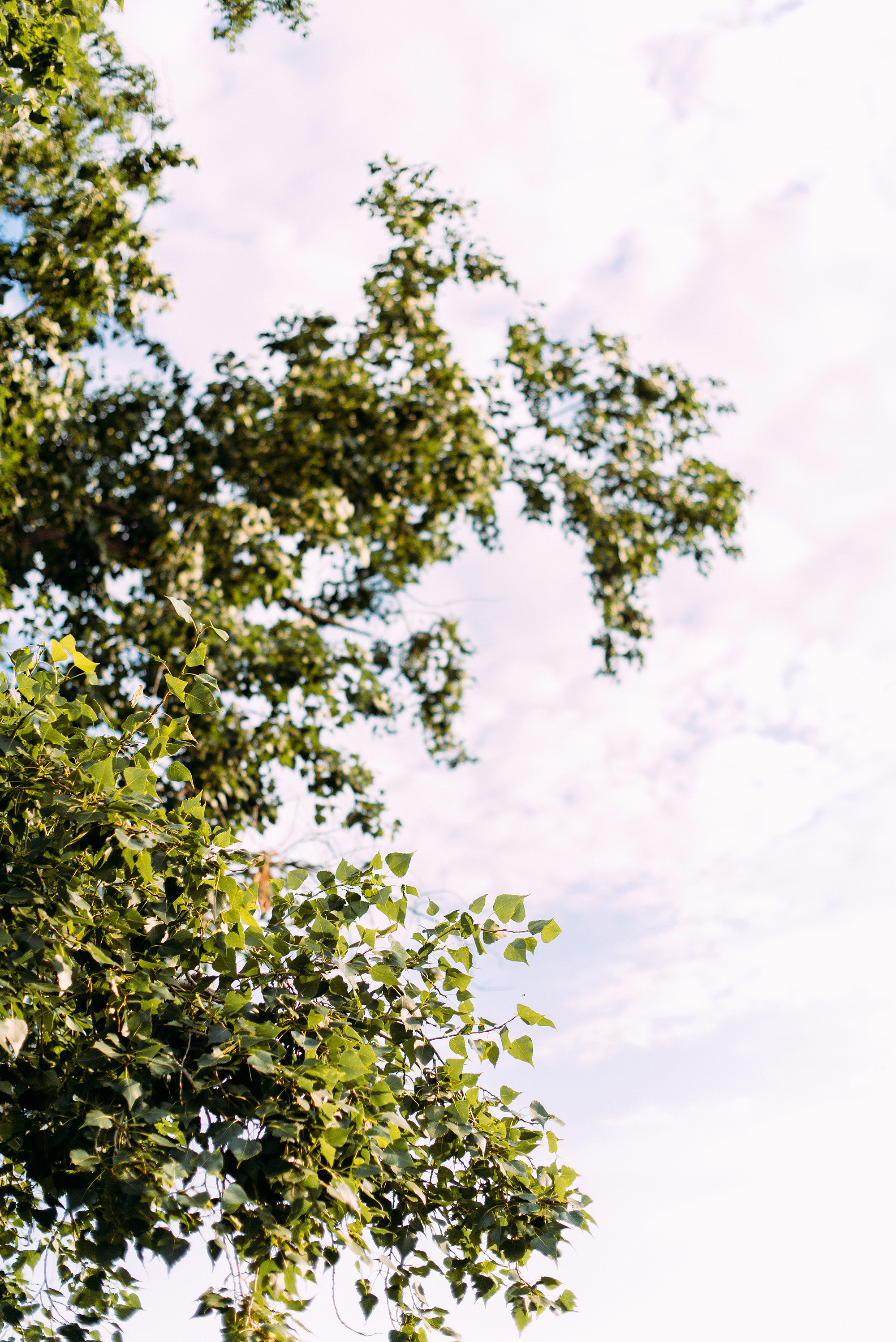 Фруктовый пикник в лесу. Свадебный и семейный фотограф в Стерлитамаке, Салавате. Илья Антохин
