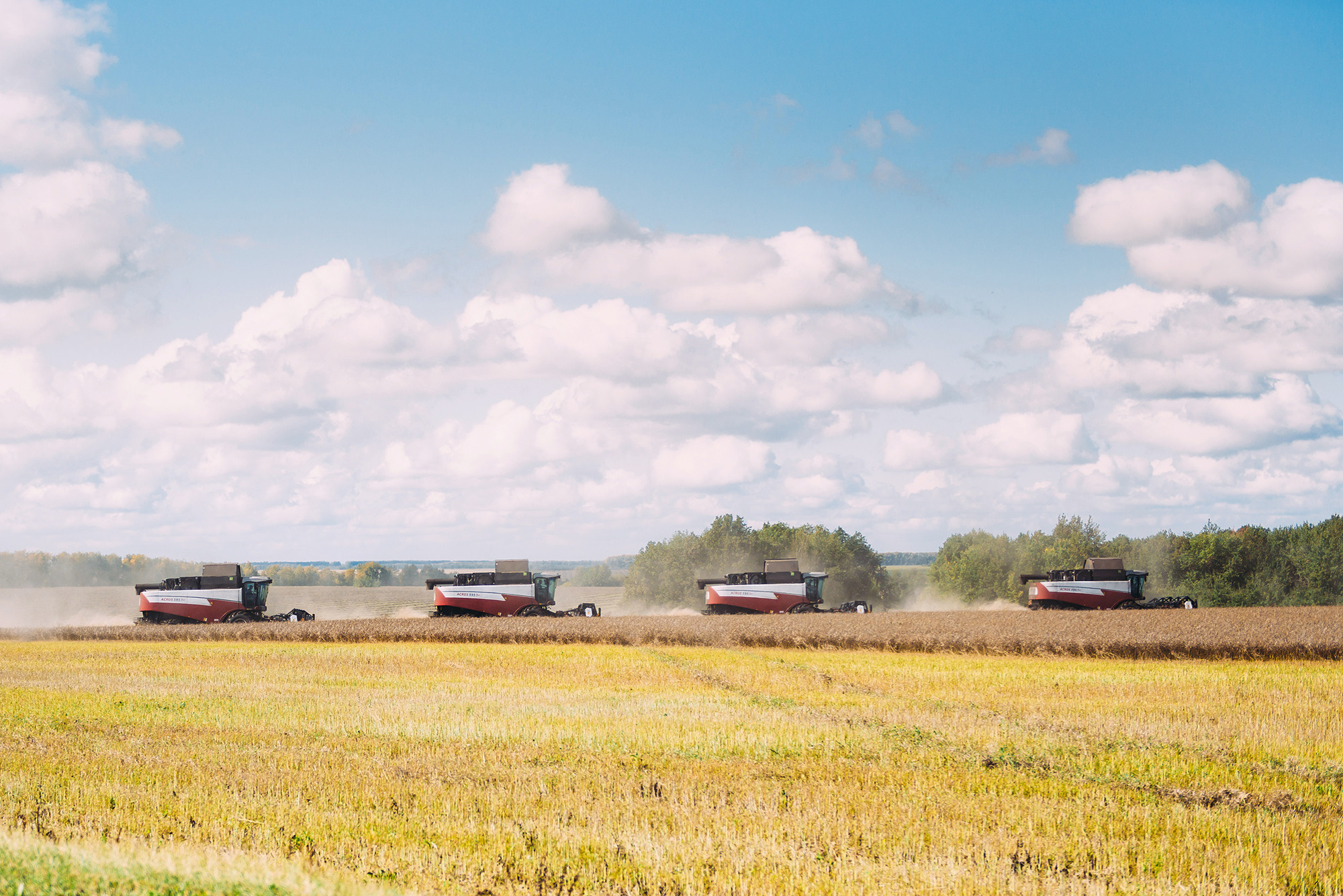 Иван и Виктория. Свадебный и семейный фотограф в Стерлитамаке, Салавате. Илья Антохин