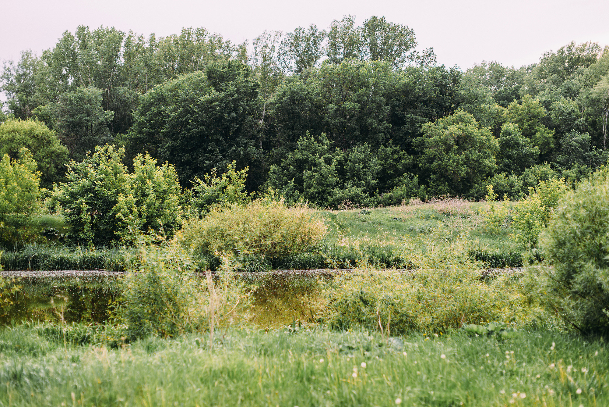 Максим и Кристина. Свадебный и семейный фотограф в Стерлитамаке, Салавате. Илья Антохин