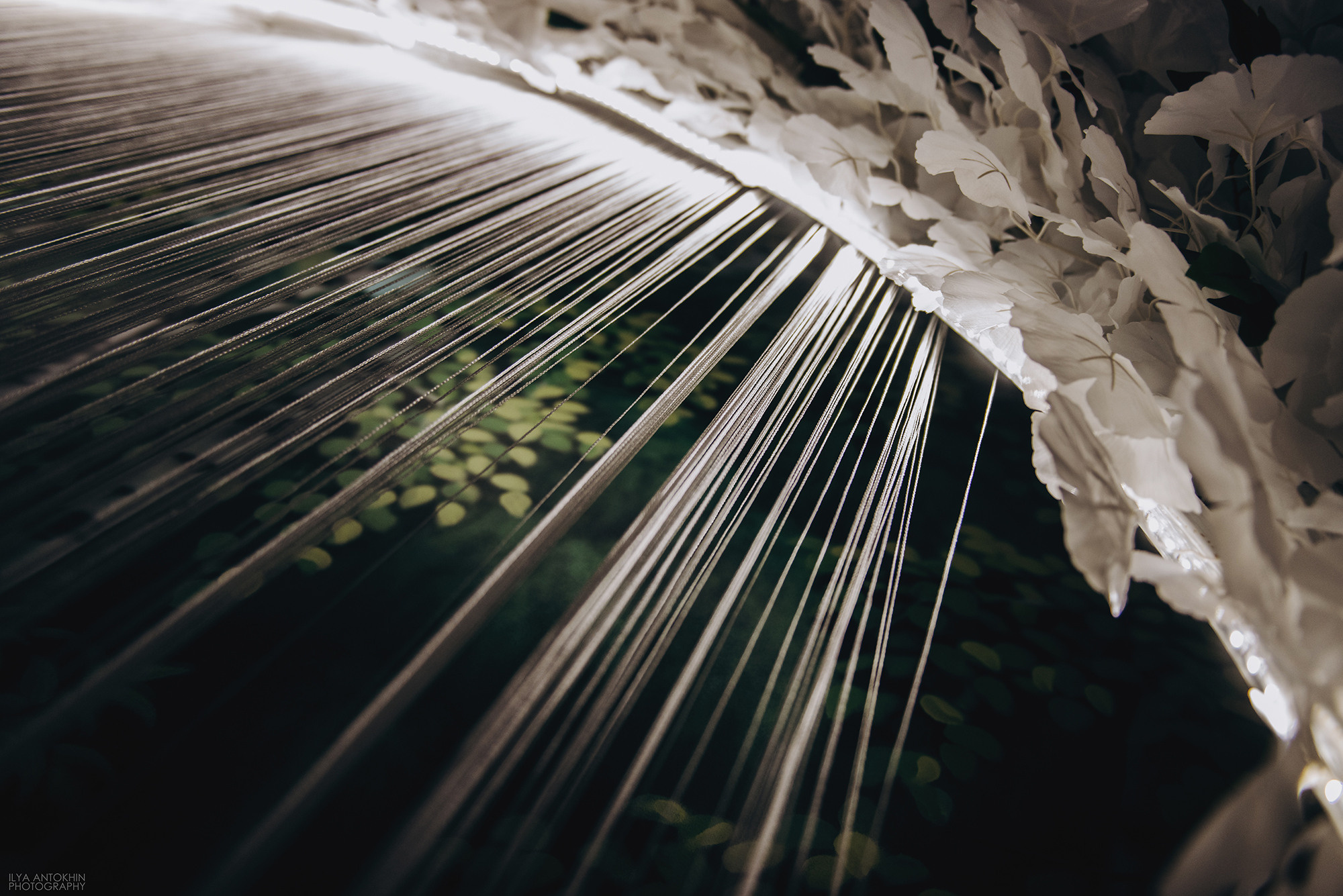 Эмиль и Азалия. Свадебный и семейный фотограф в Стерлитамаке, Салавате. Илья Антохин