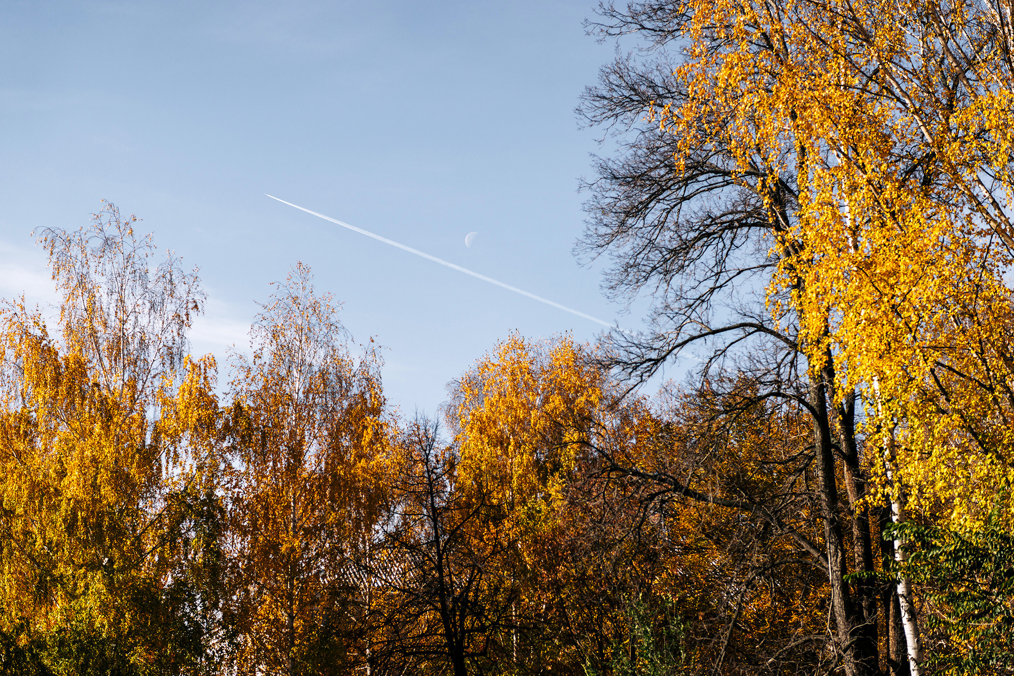 Артём и Ксения. Свадебный и семейный фотограф в Стерлитамаке, Салавате. Илья Антохин