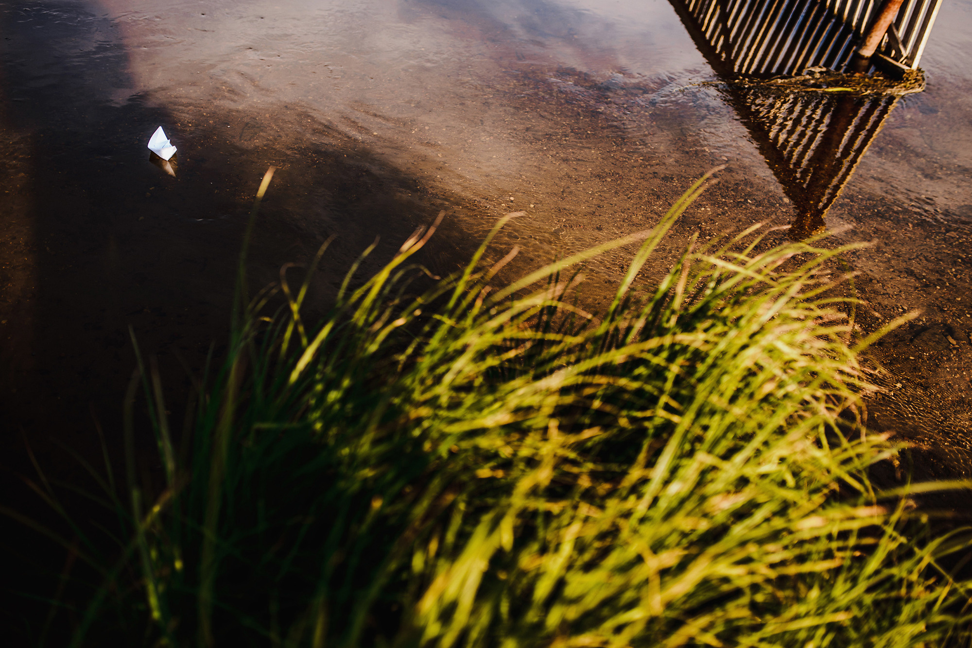 Бумажный кораблик и тёплый берег реки. Свадебный и семейный фотограф в Стерлитамаке, Салавате. Илья Антохин