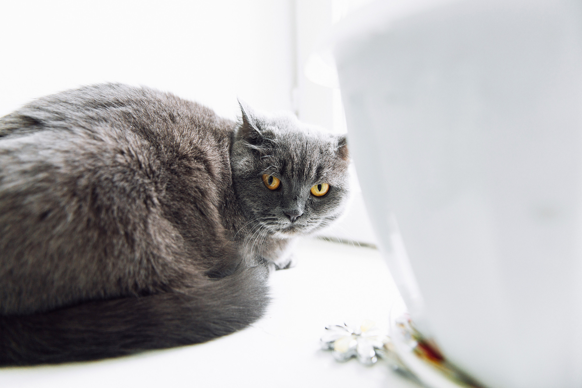 Шамиль и Диана 8 Апреля 2017. Свадебный и семейный фотограф в Стерлитамаке, Салавате. Илья Антохин