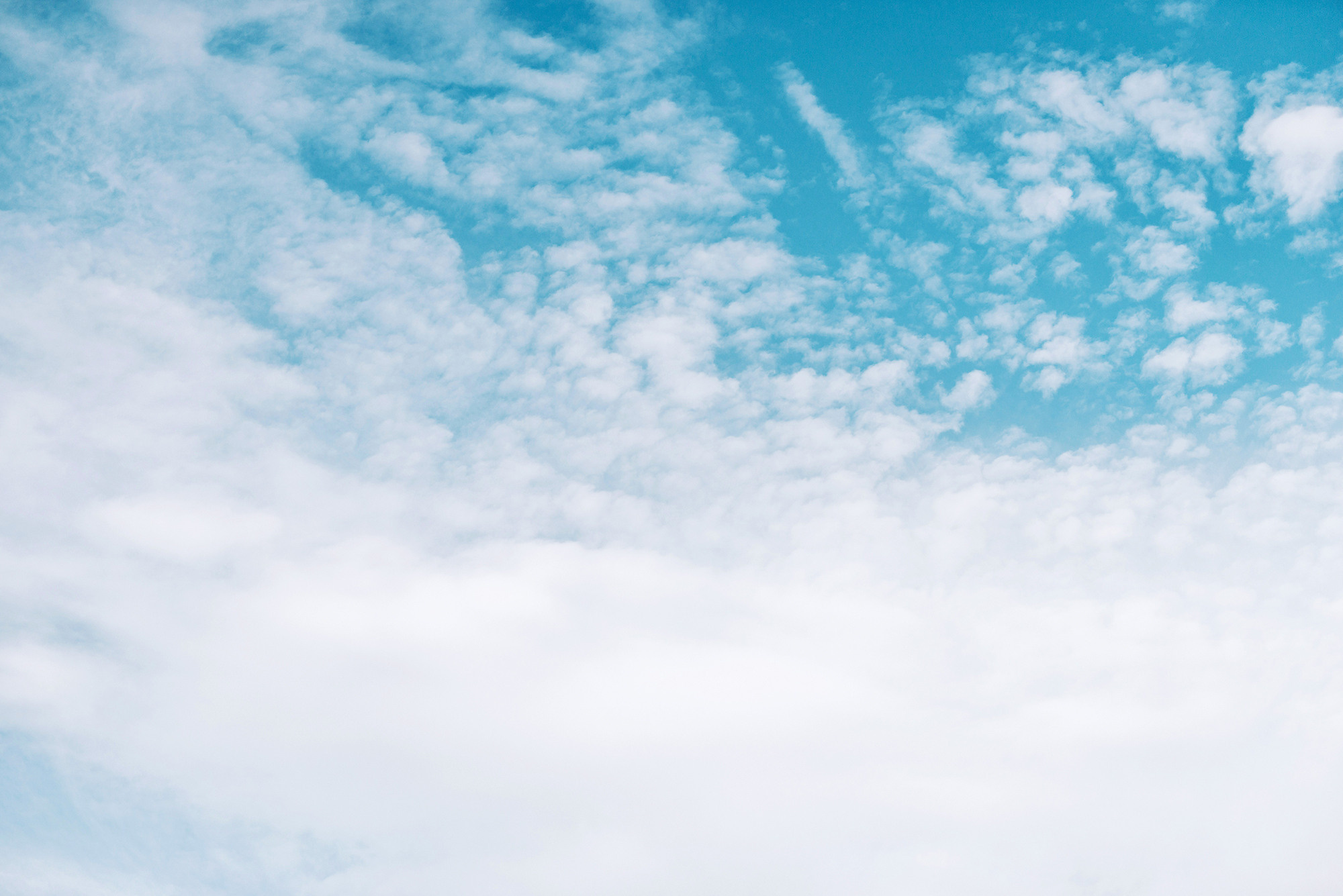 Александр и Юлия. Свадебный и семейный фотограф в Стерлитамаке, Салавате. Илья Антохин