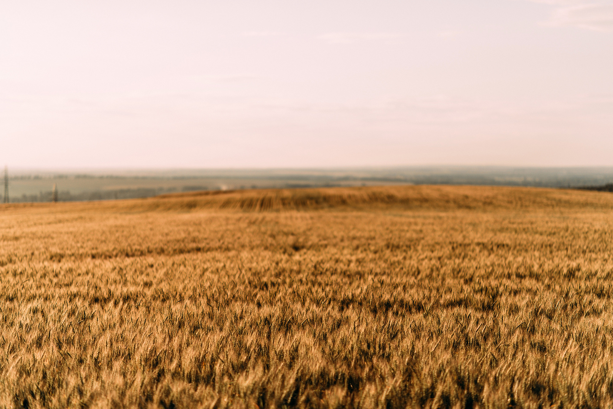 Саша и Алиса. Свадебный и семейный фотограф в Стерлитамаке, Салавате. Илья Антохин