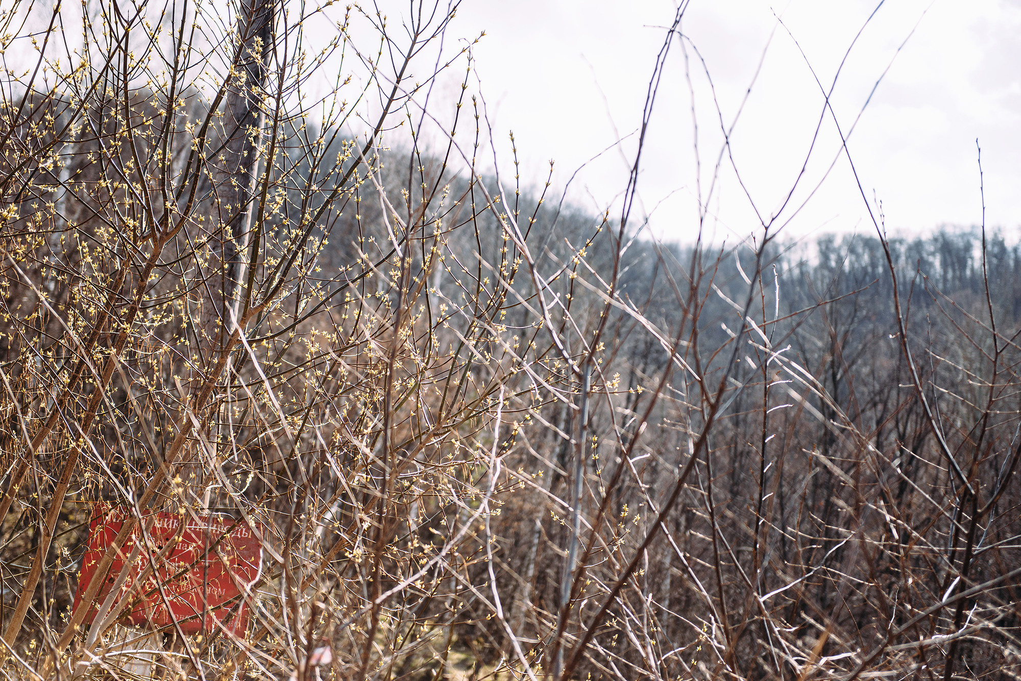 Юрий и Людмила. Свадебный и семейный фотограф в Стерлитамаке, Салавате. Илья Антохин