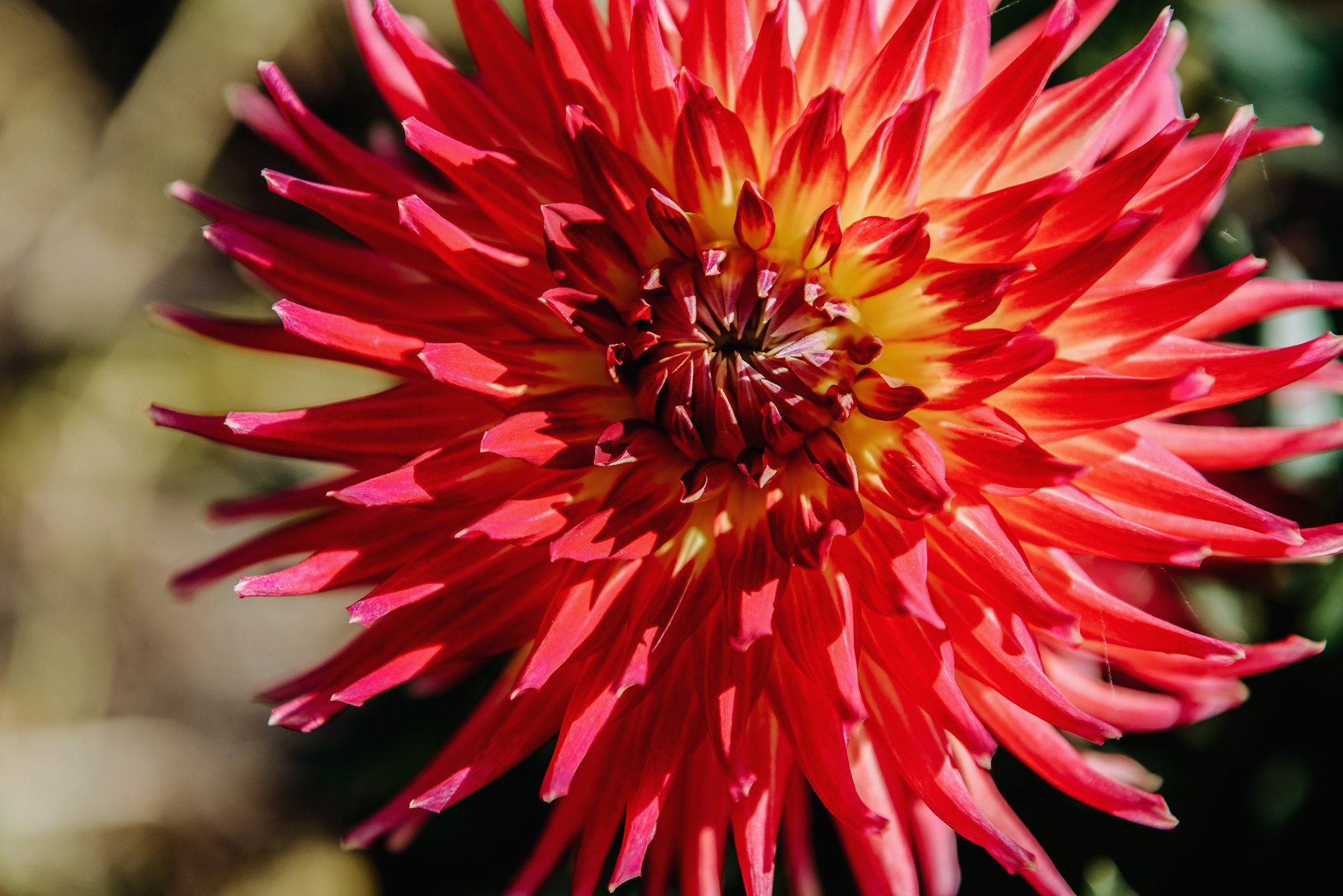 Вадим и Елена. Свадебный и семейный фотограф в Стерлитамаке, Салавате. Илья Антохин