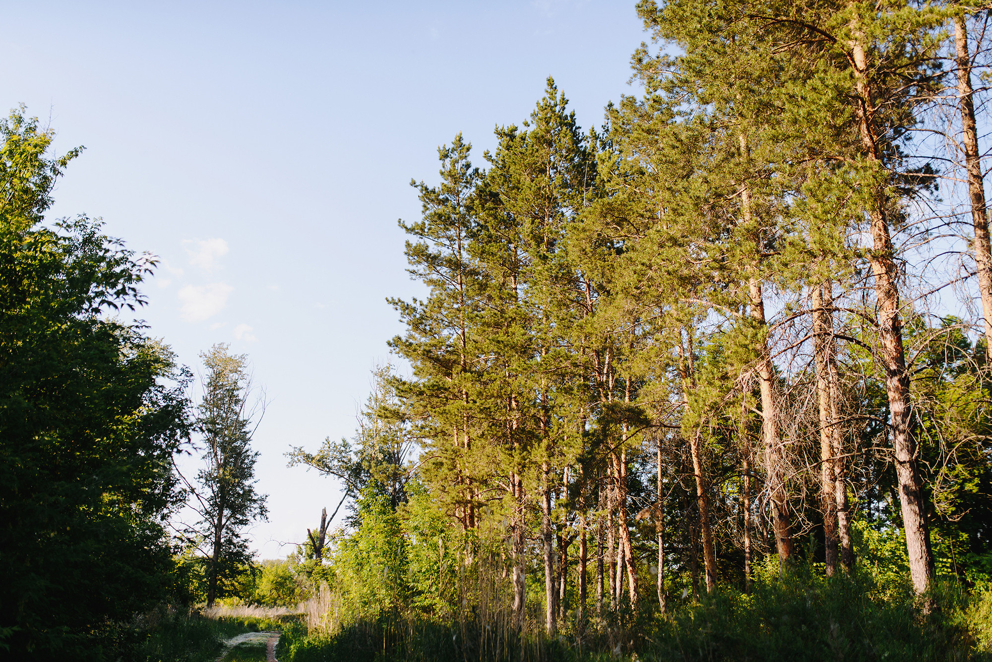 Альфред и Ирина. Свадебный и семейный фотограф в Стерлитамаке, Салавате. Илья Антохин