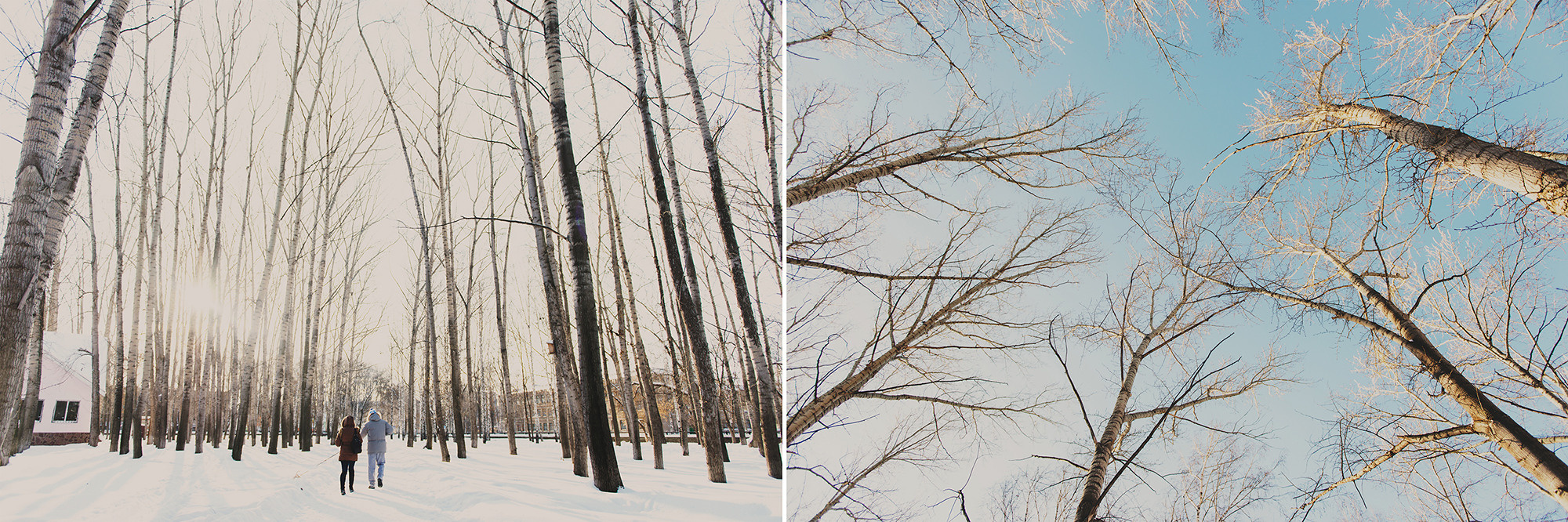 Саша, Карина и Тесси. Свадебный и семейный фотограф в Стерлитамаке, Салавате. Илья Антохин