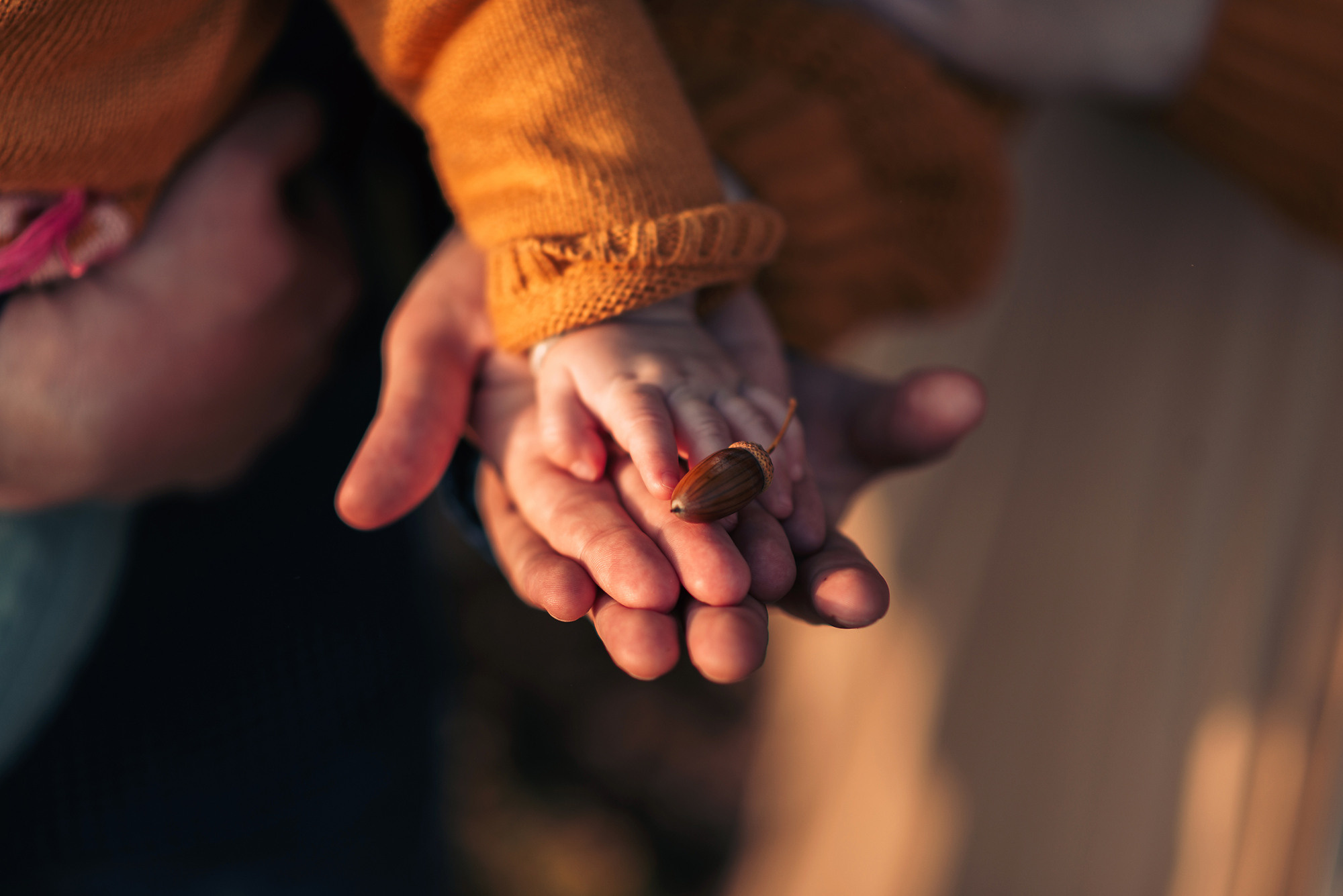 Торатау, осень, тыквы. Свадебный и семейный фотограф в Стерлитамаке, Салавате. Илья Антохин